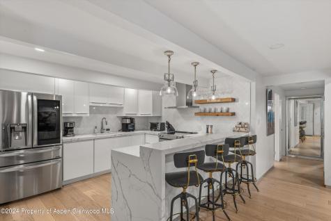 731 E Durant Avenue Aspen CO 81611