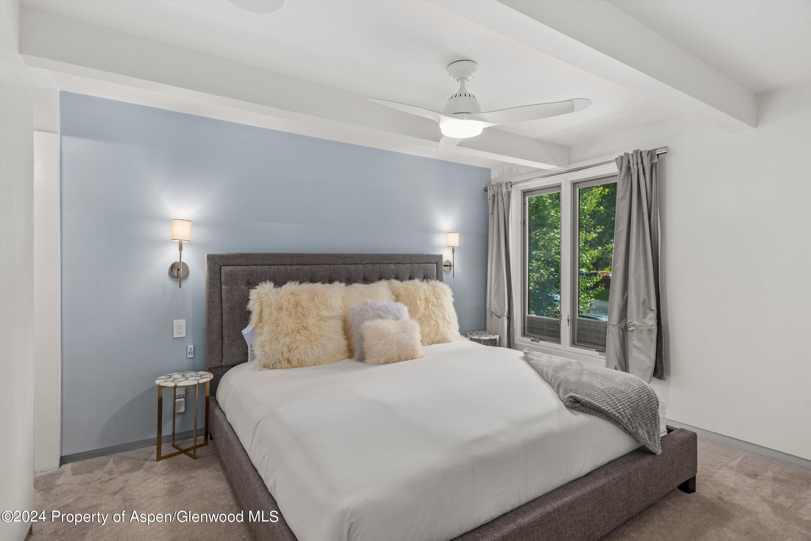 731 E Durant Avenue Aspen CO 81611