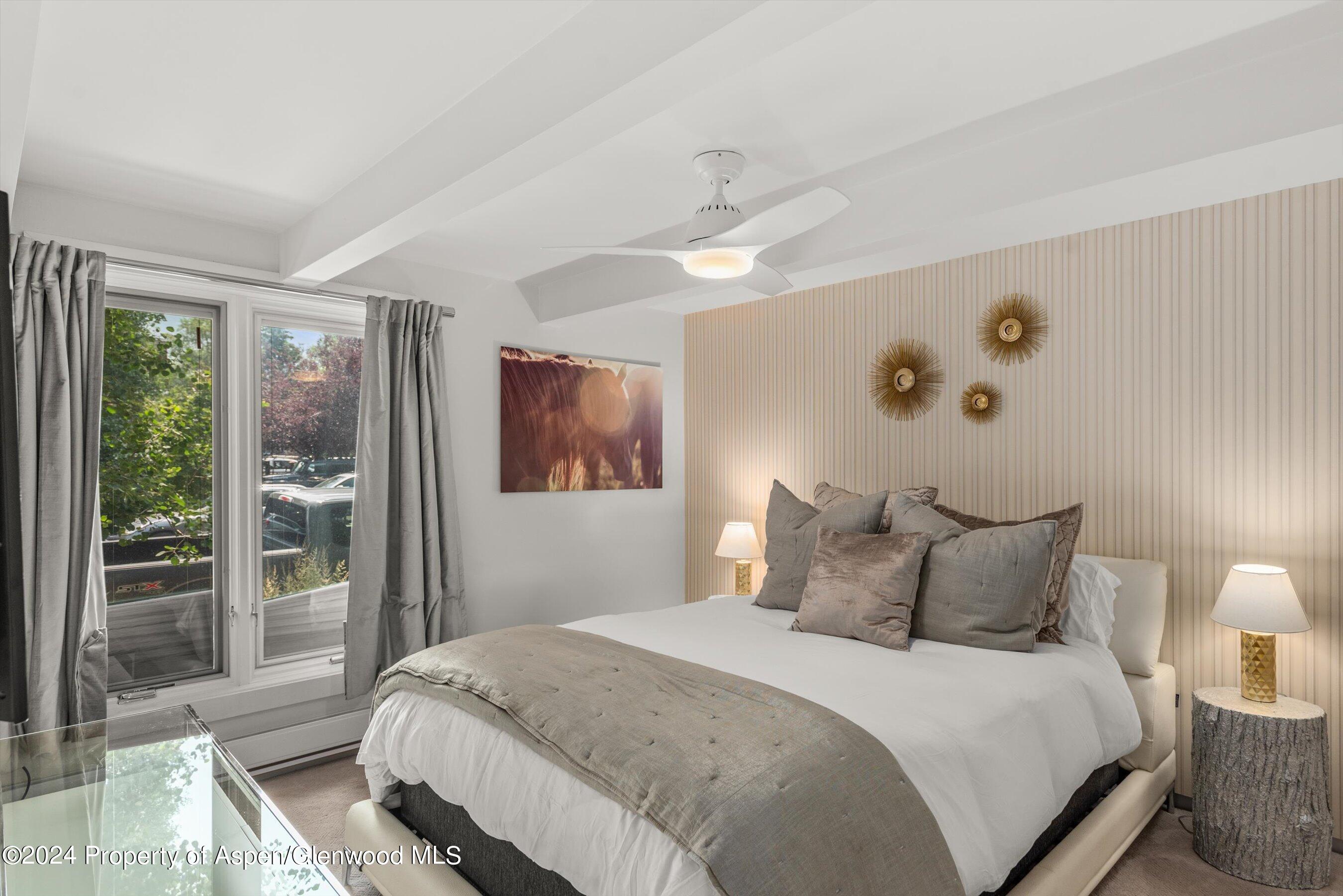 731 E Durant Avenue Aspen CO 81611