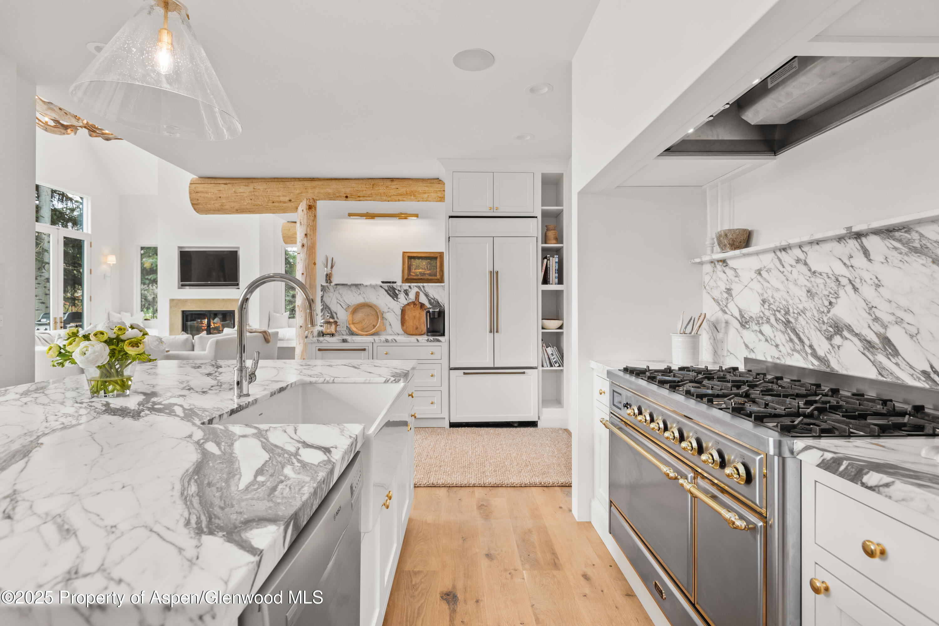 1495 Homestake Drive Aspen CO 81611