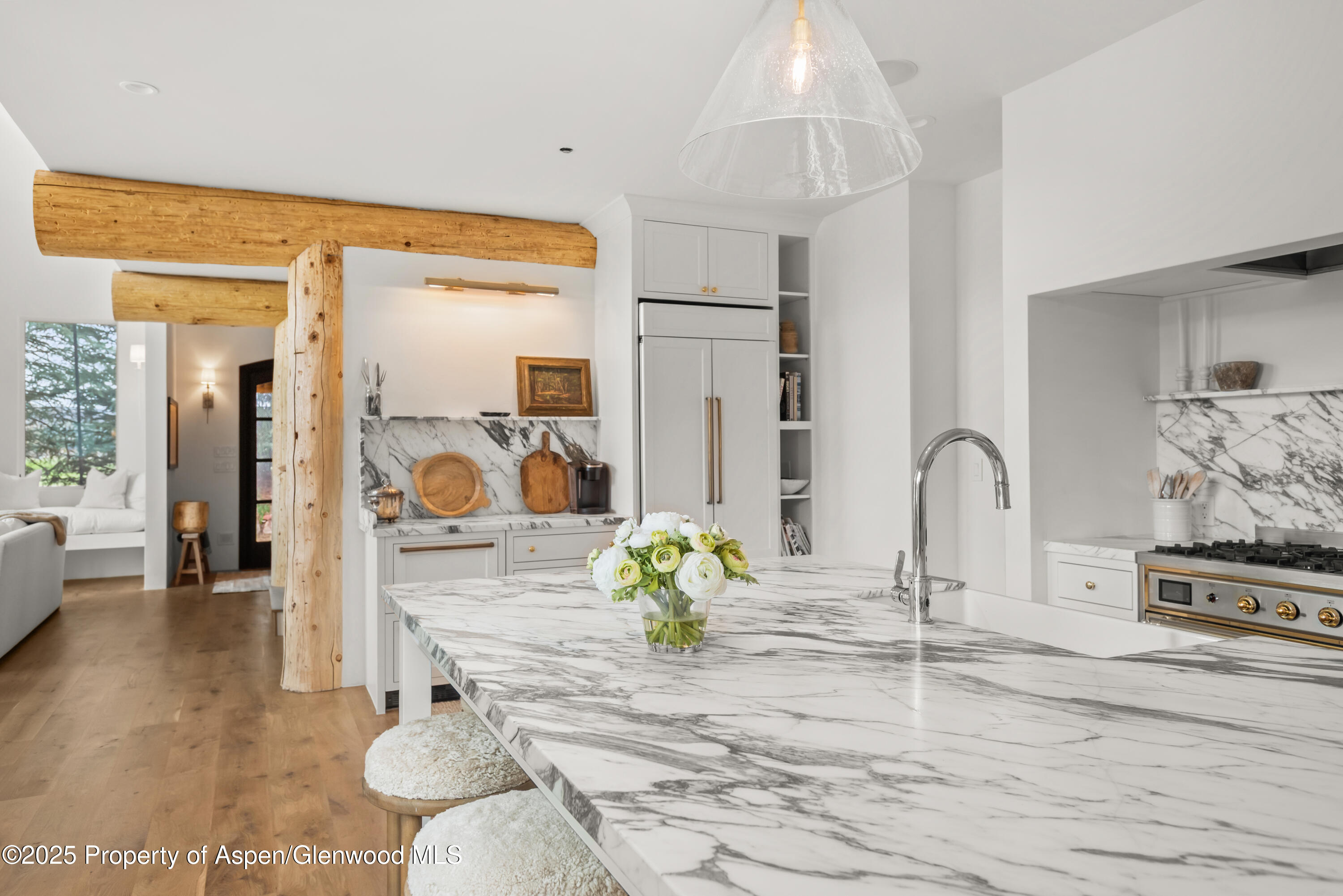 1495 Homestake Drive Aspen CO 81611