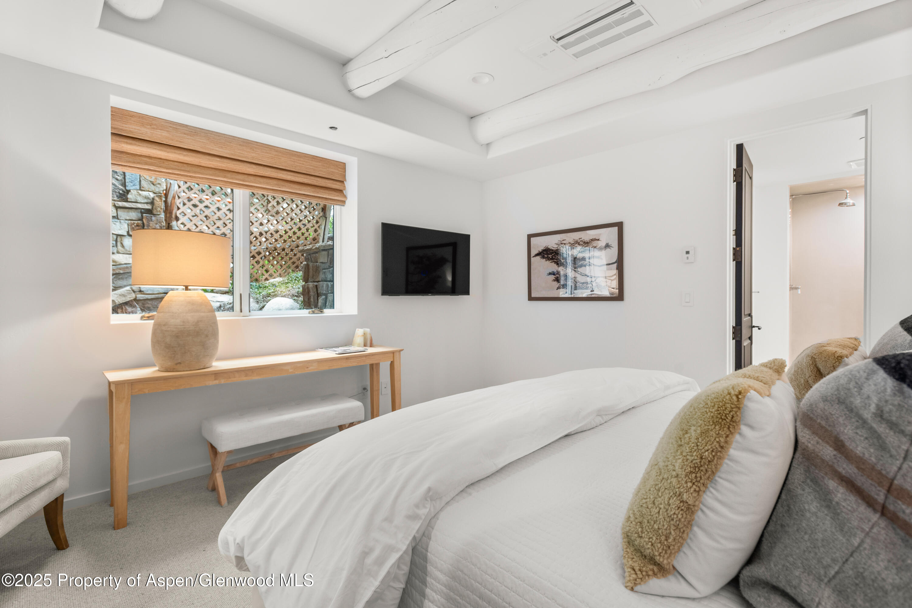 1495 Homestake Drive Aspen CO 81611