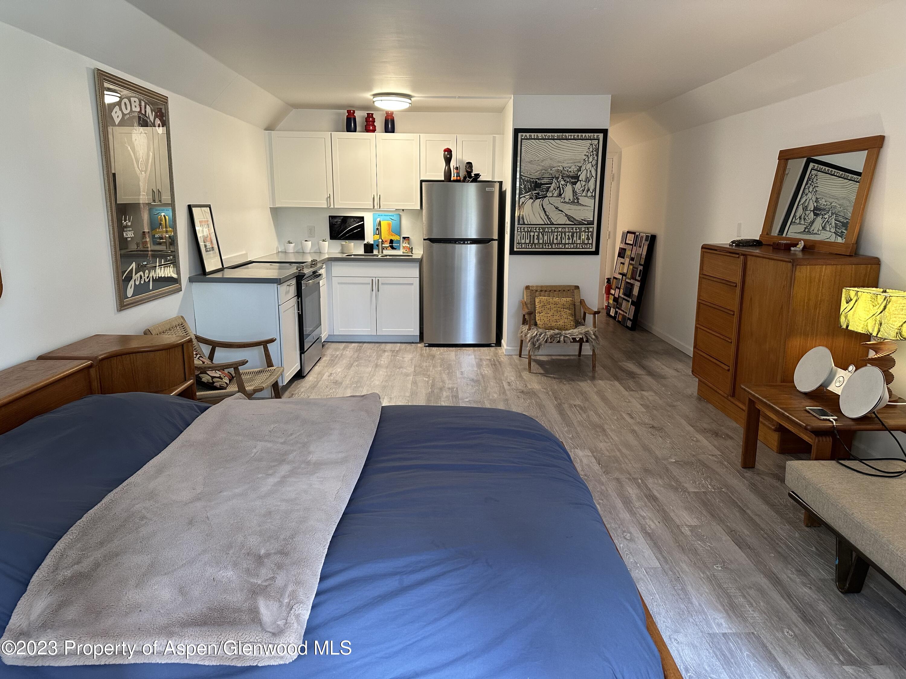 1223 Vine Street Aspen CO 81611