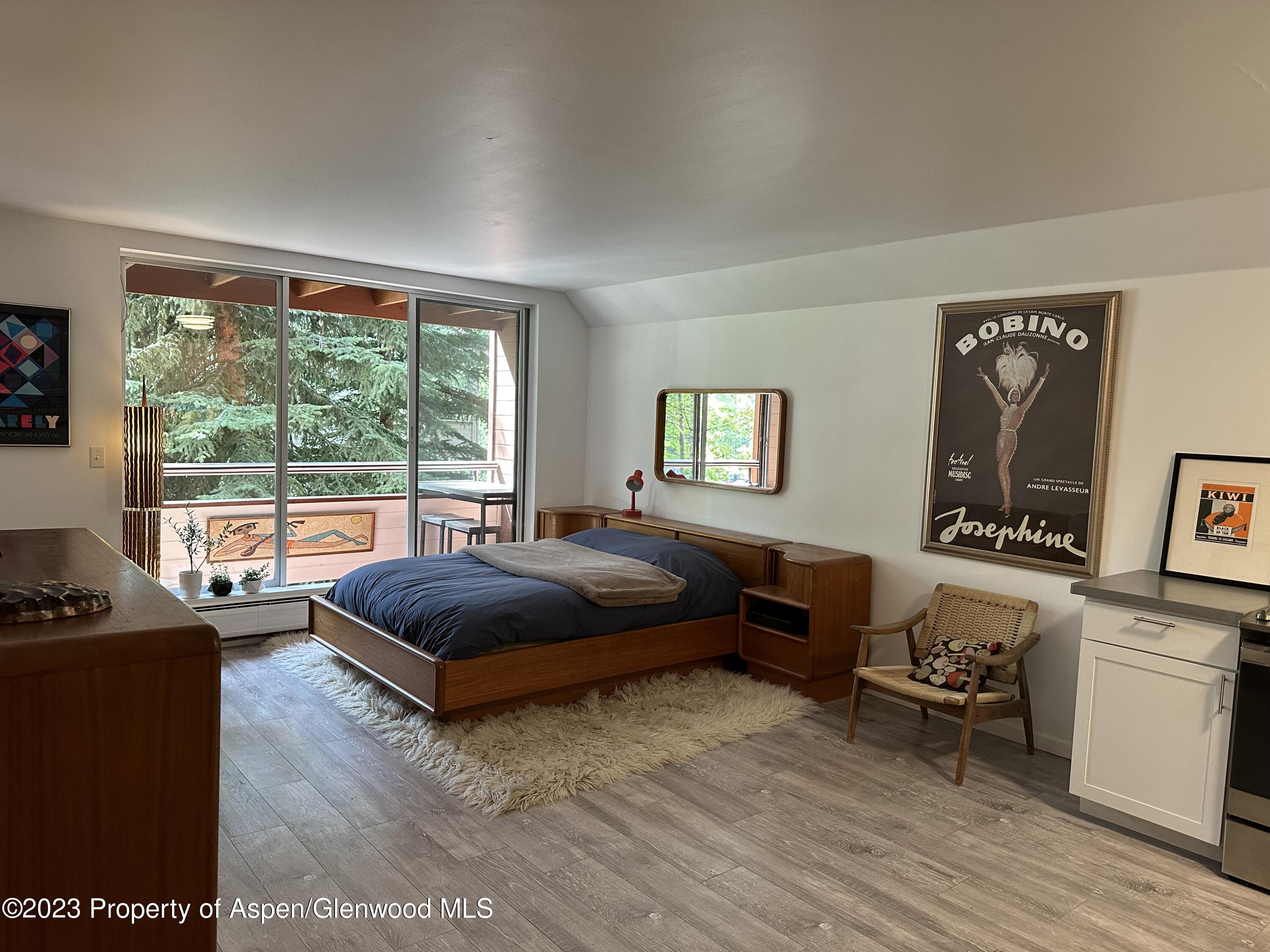 1223 Vine Street Aspen CO 81611