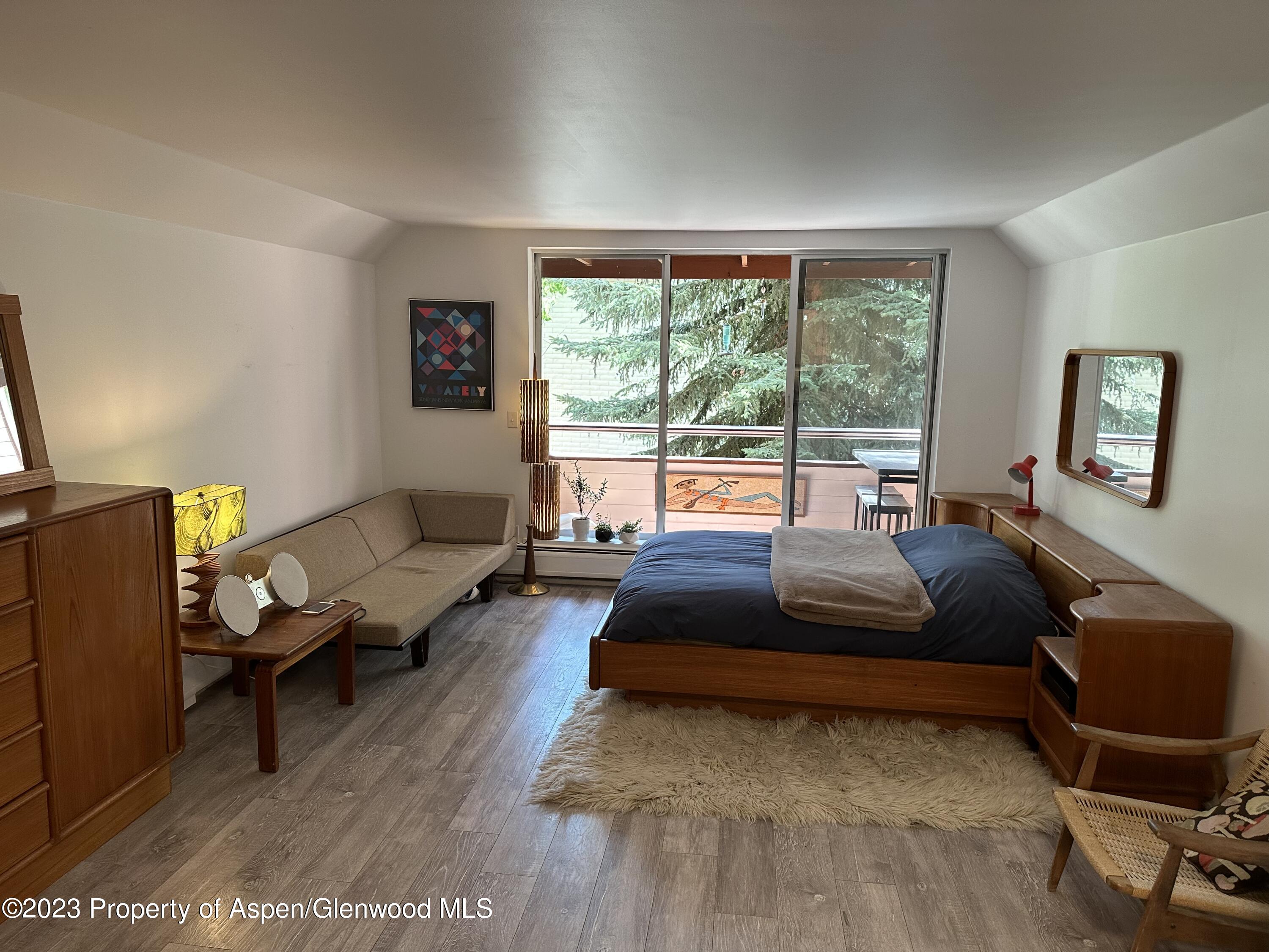 1223 Vine Street Aspen CO 81611