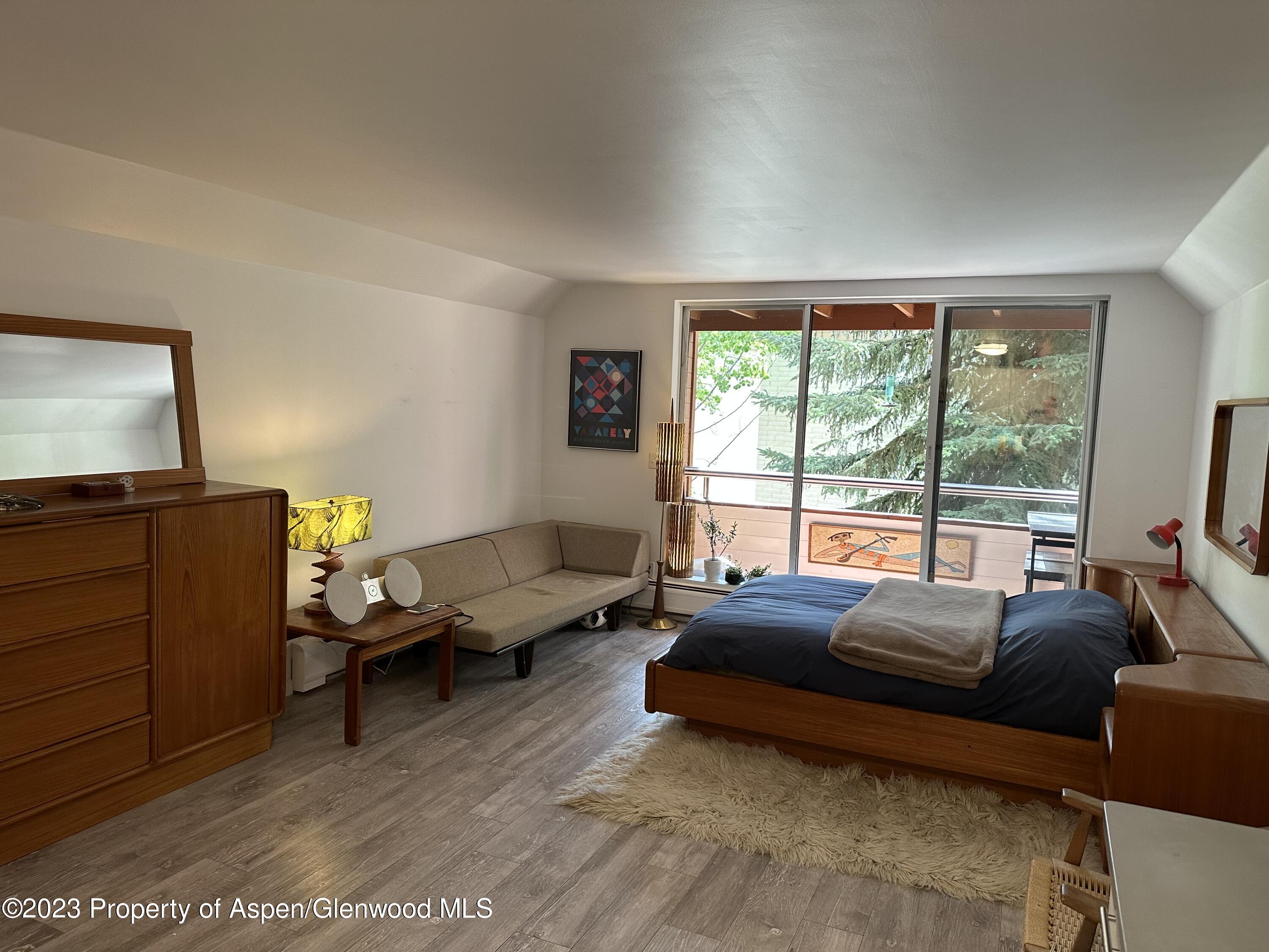 1223 Vine Street Aspen CO 81611