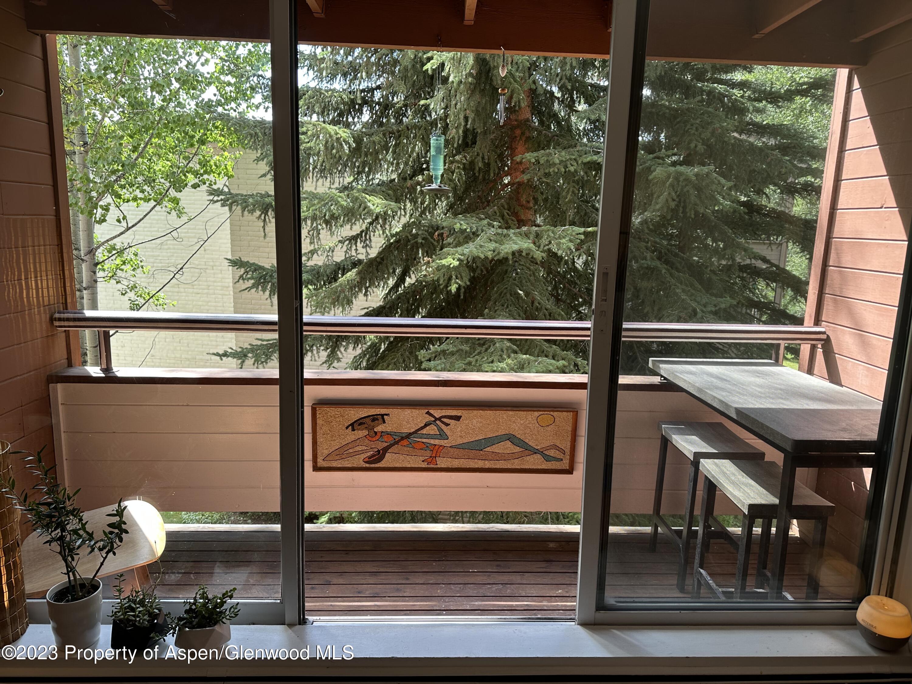 1223 Vine Street Aspen CO 81611