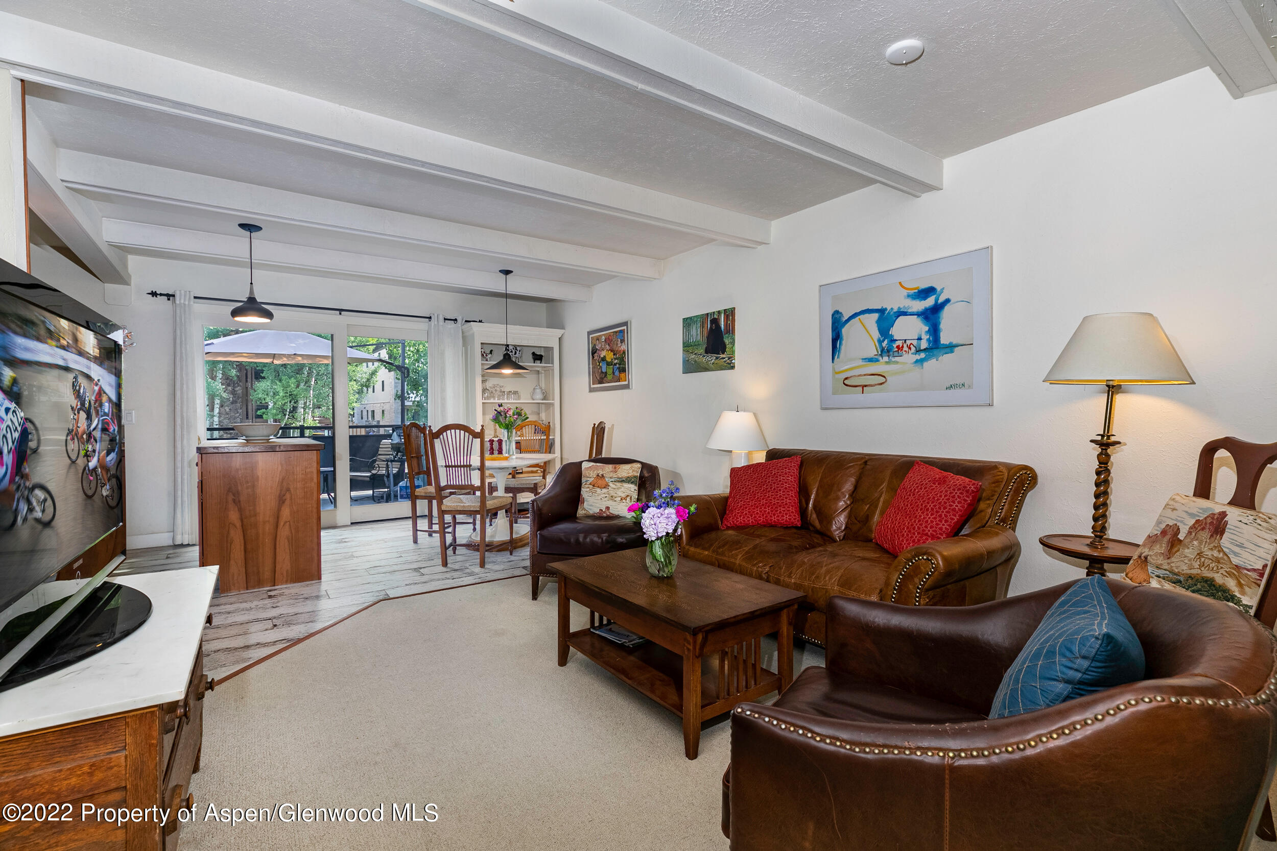 124 E Durant Avenue Aspen CO 81611