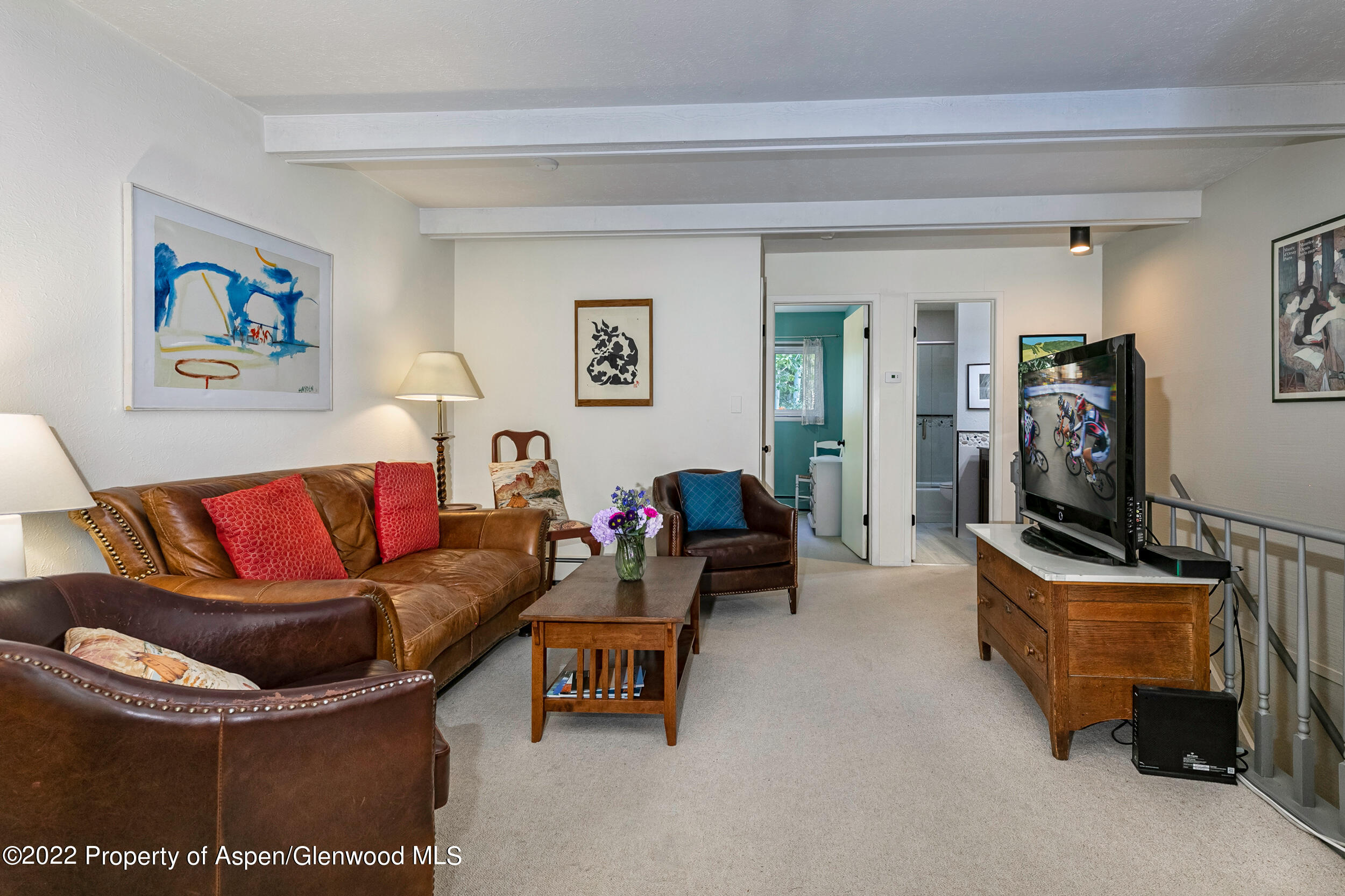 124 E Durant Avenue Aspen CO 81611