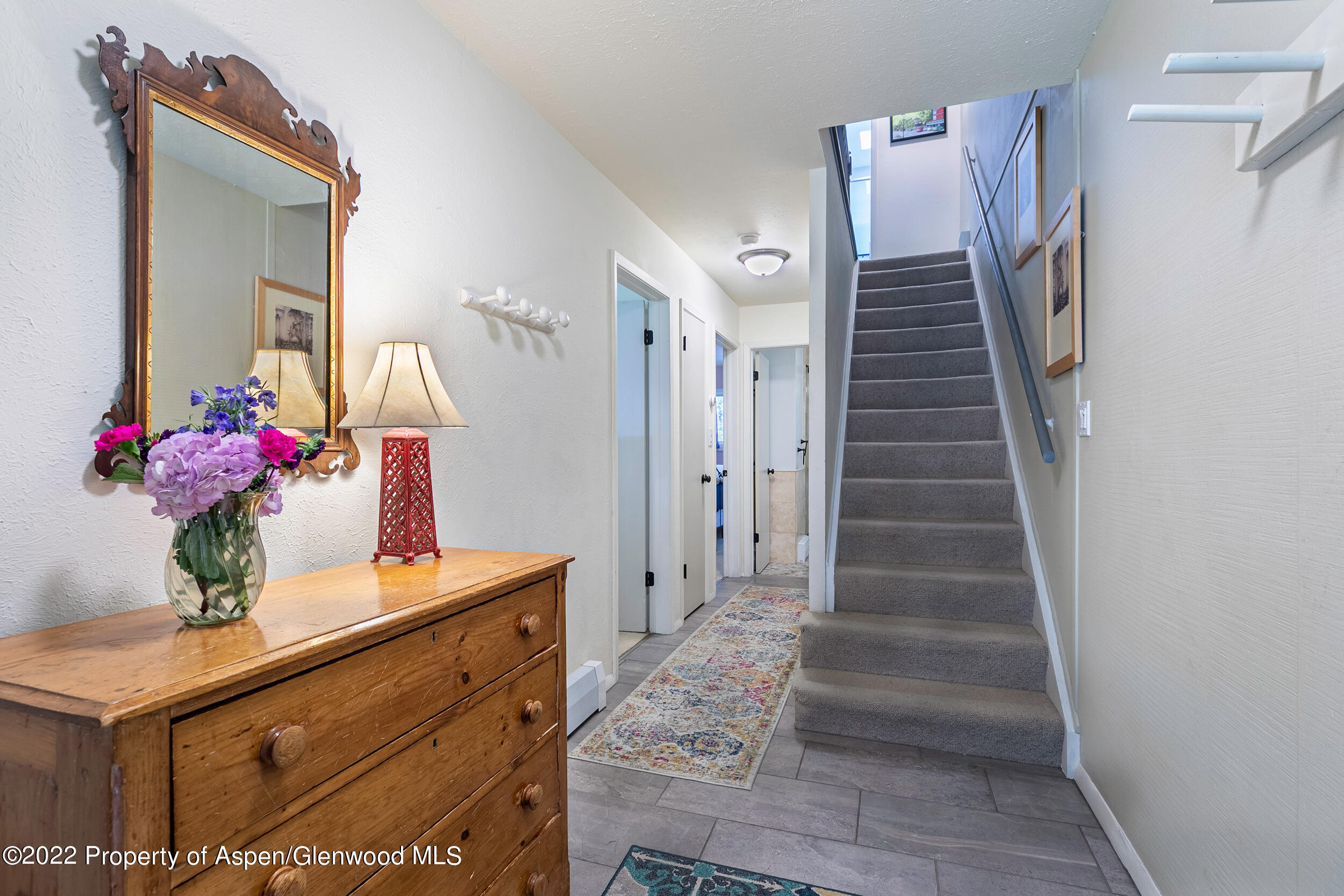 124 E Durant Avenue Aspen CO 81611