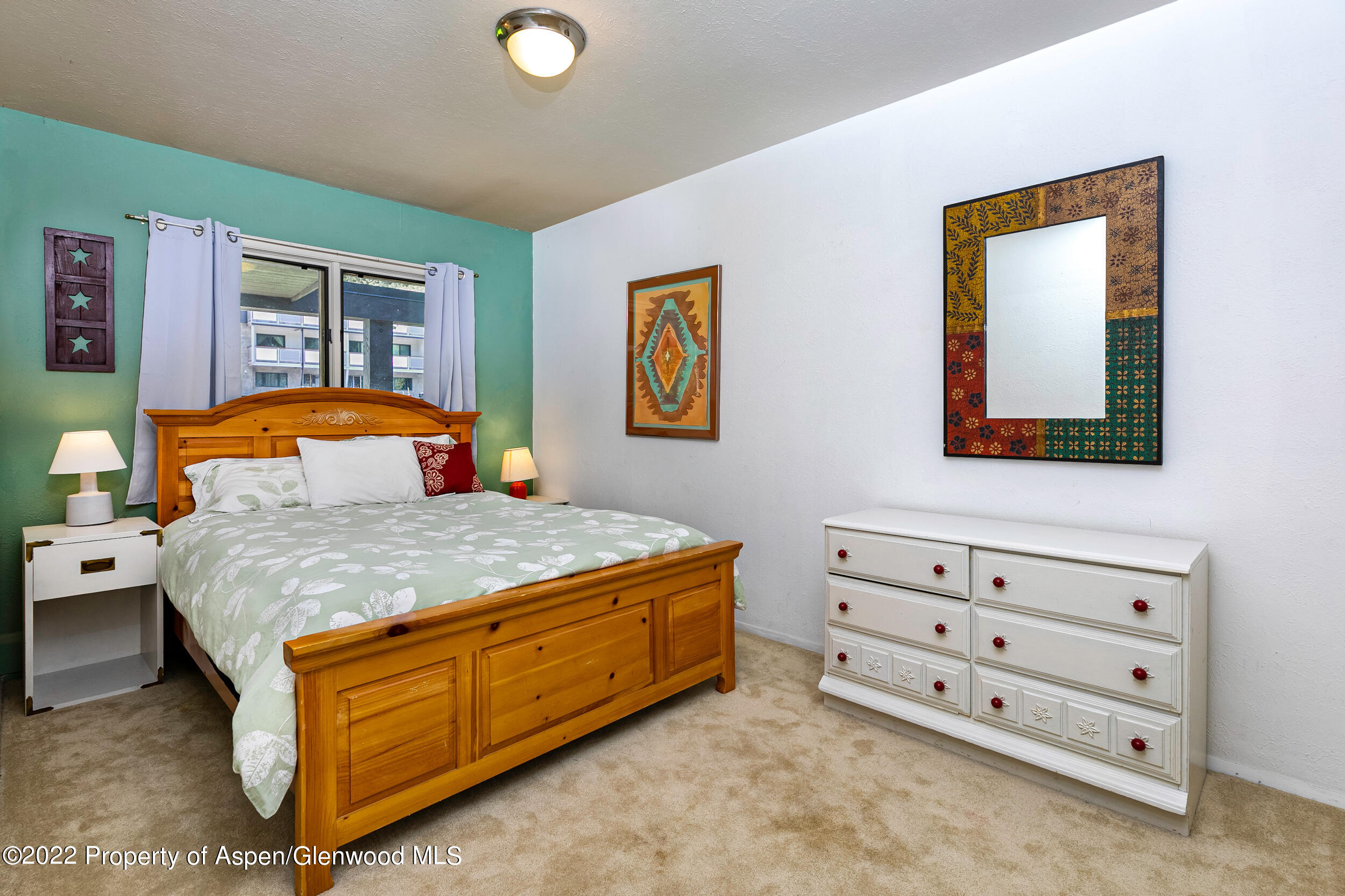 124 E Durant Avenue Aspen CO 81611