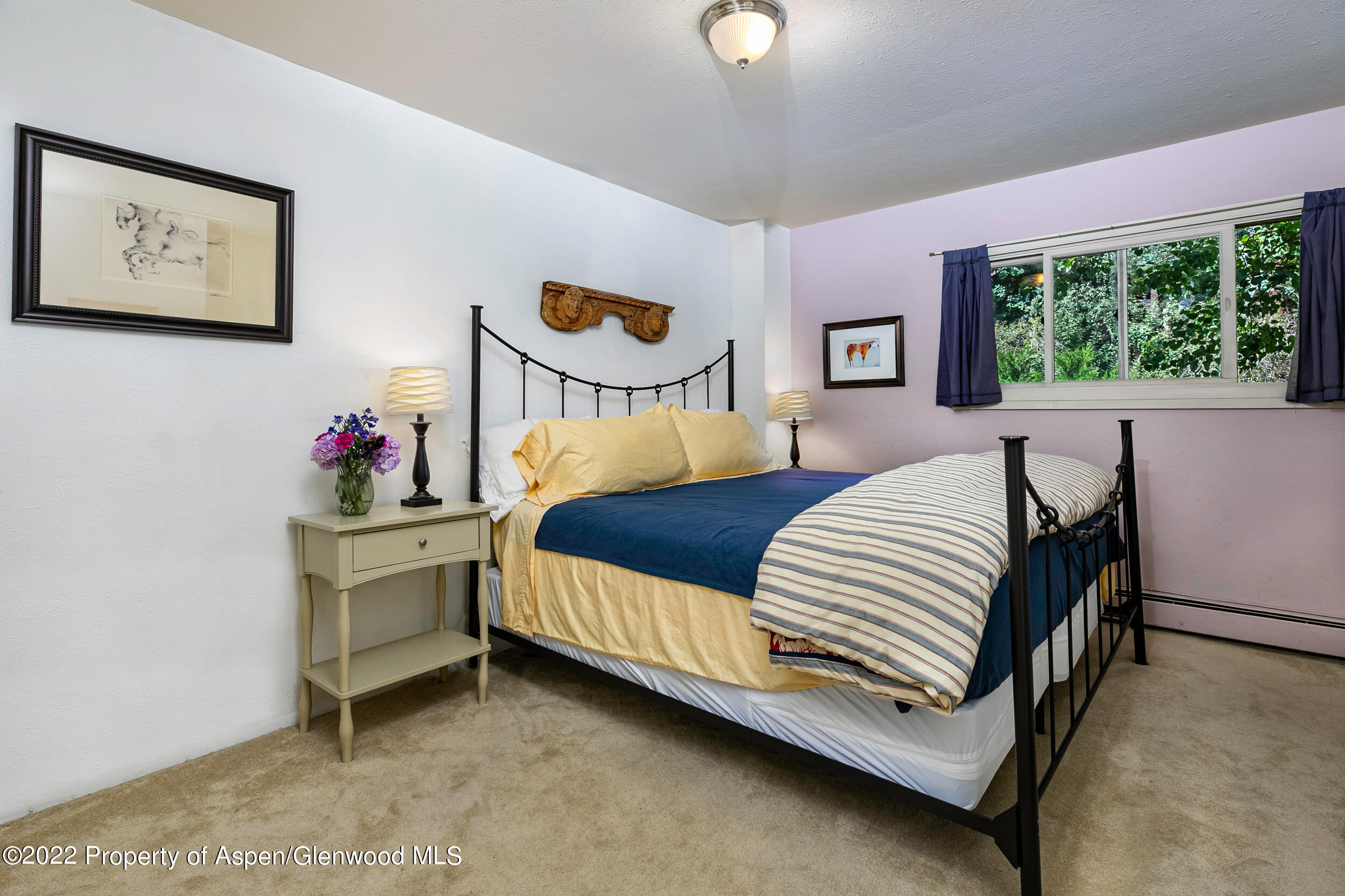 124 E Durant Avenue Aspen CO 81611