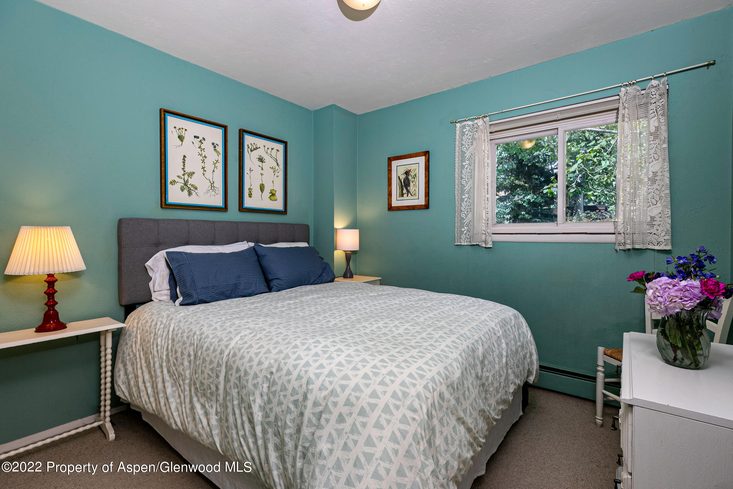 124 E Durant Avenue Aspen CO 81611