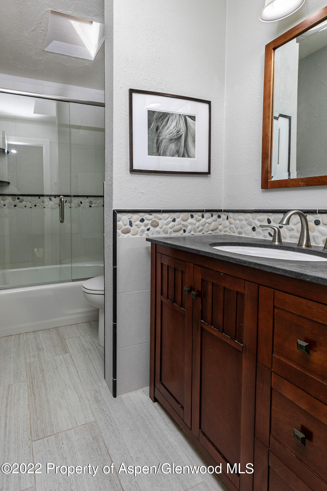 124 E Durant Avenue Aspen CO 81611