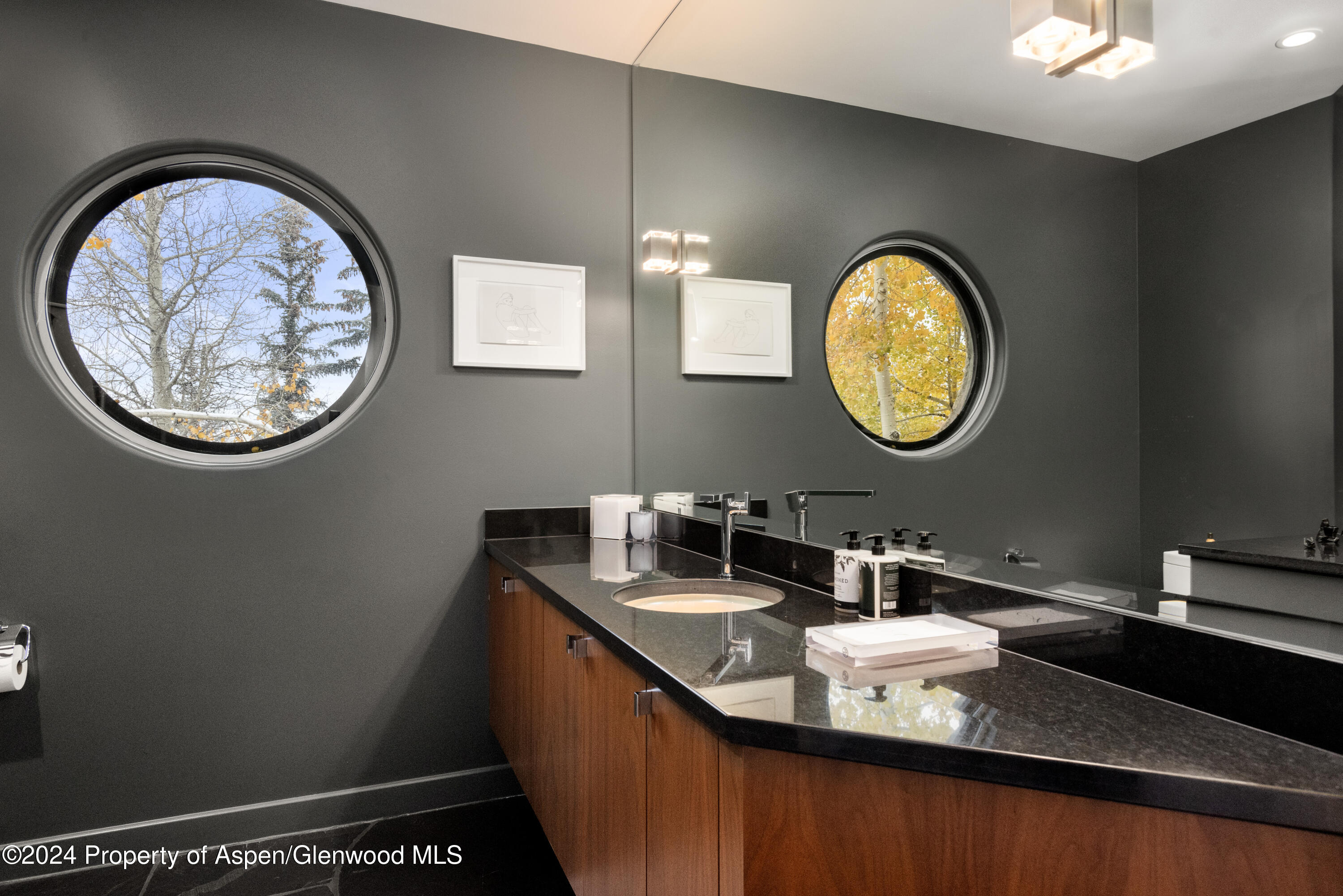 189 Aspen Way Snowmass Village CO 81615