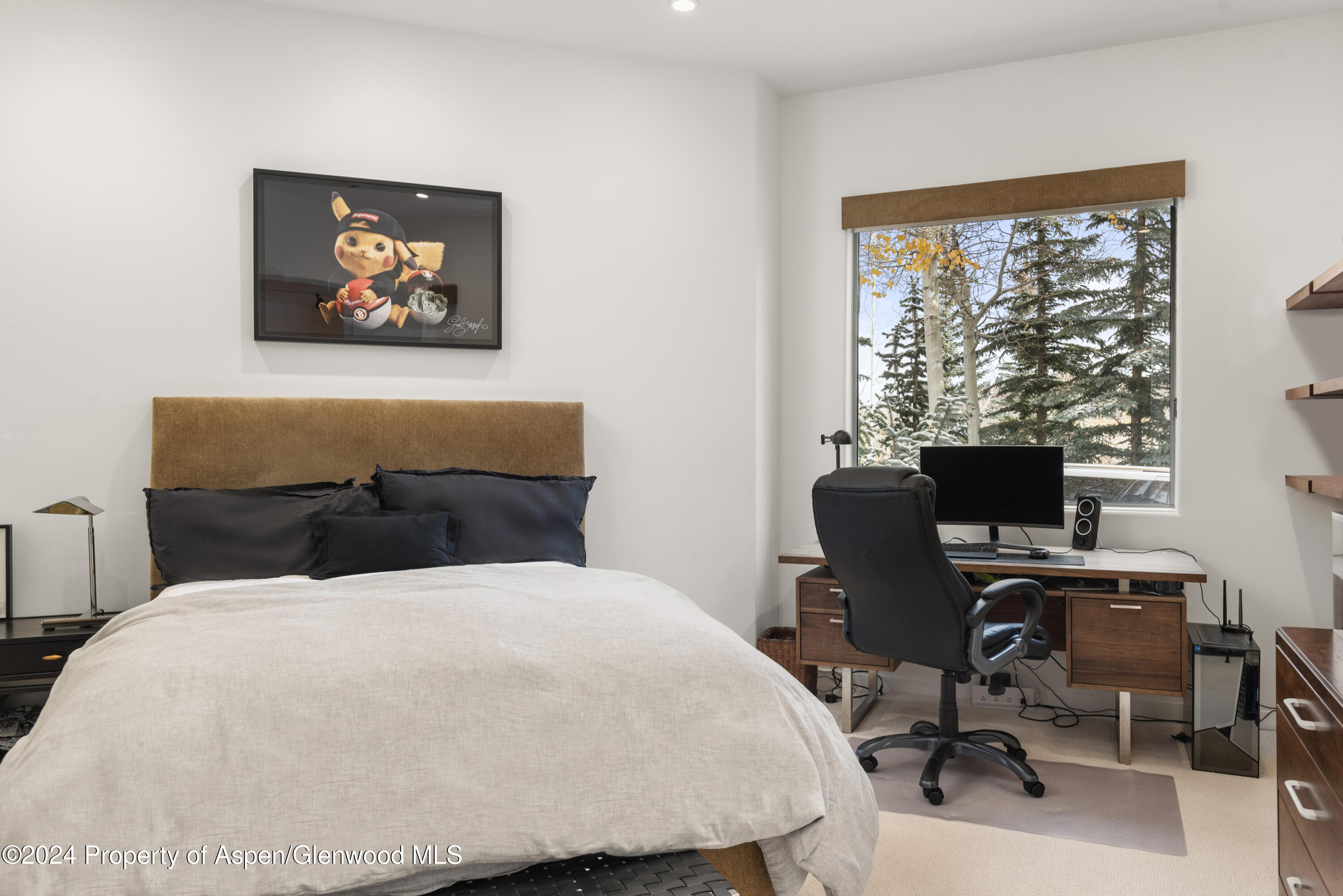 189 Aspen Way Snowmass Village CO 81615