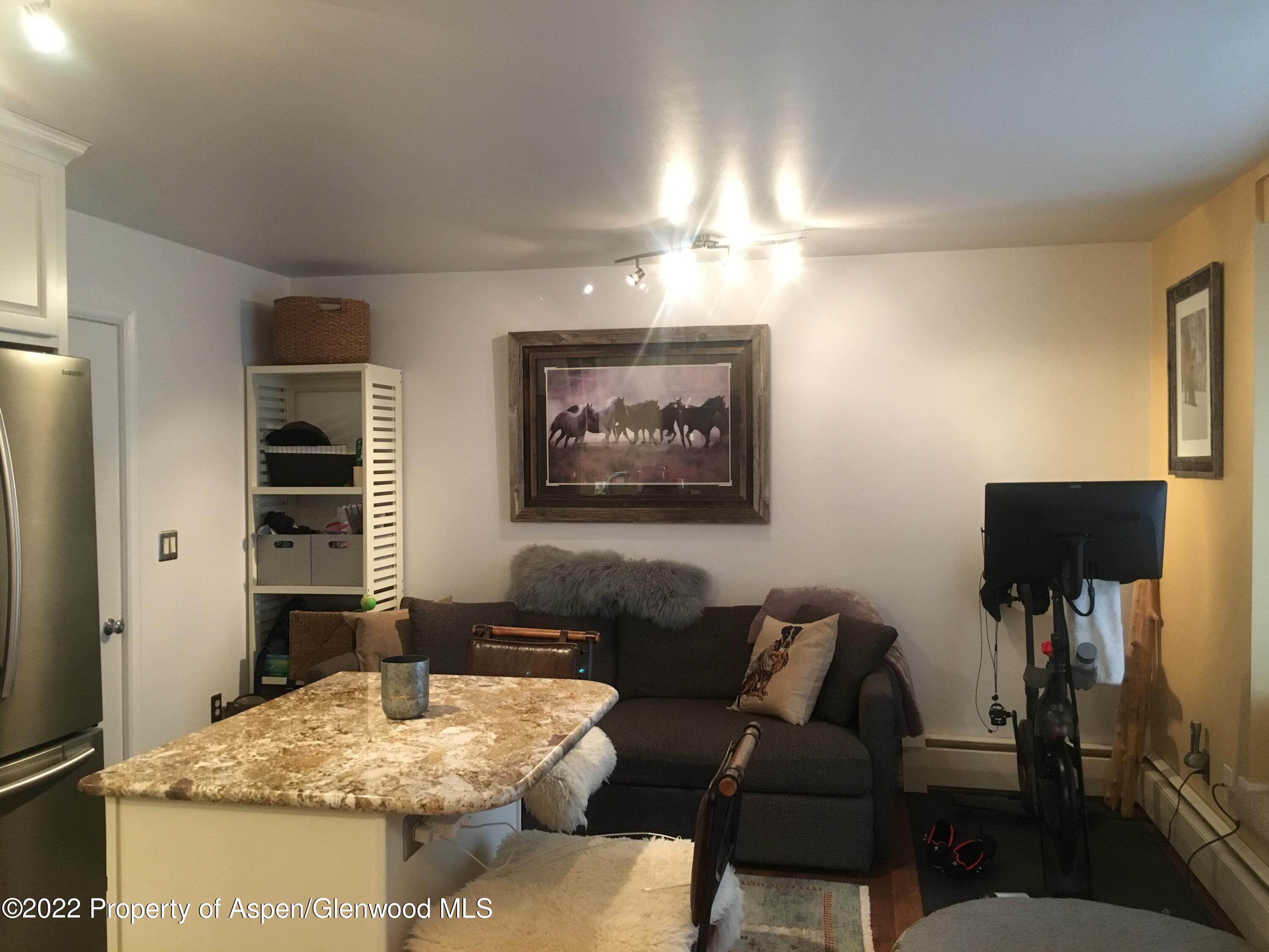 415A Pacific Avenue Aspen CO 81611