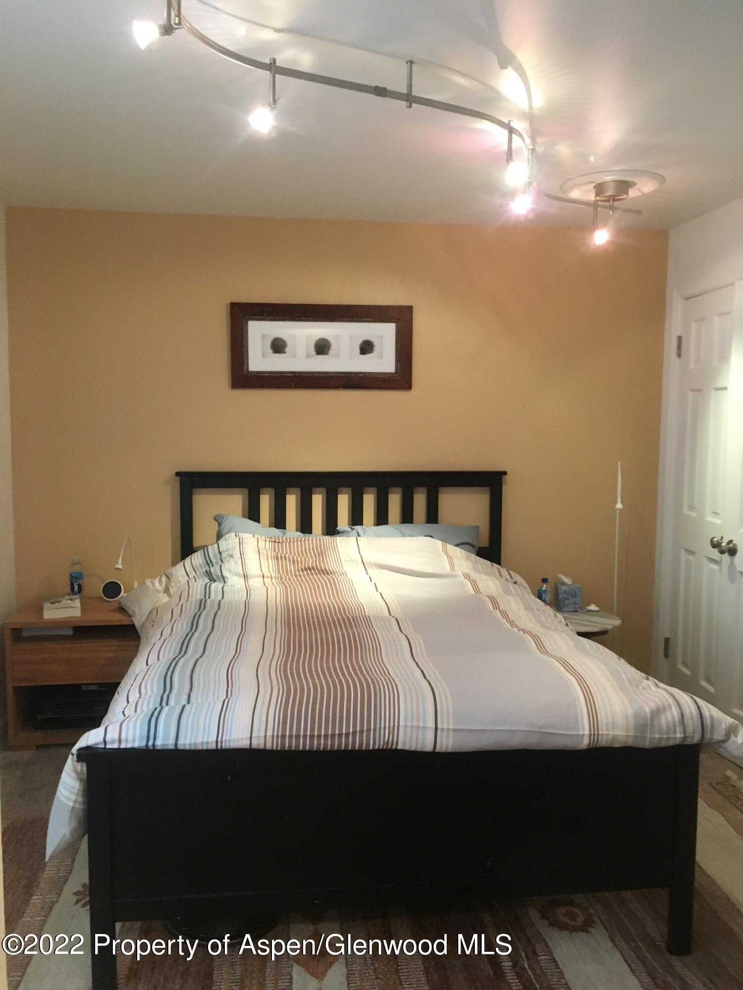 415A Pacific Avenue Aspen CO 81611