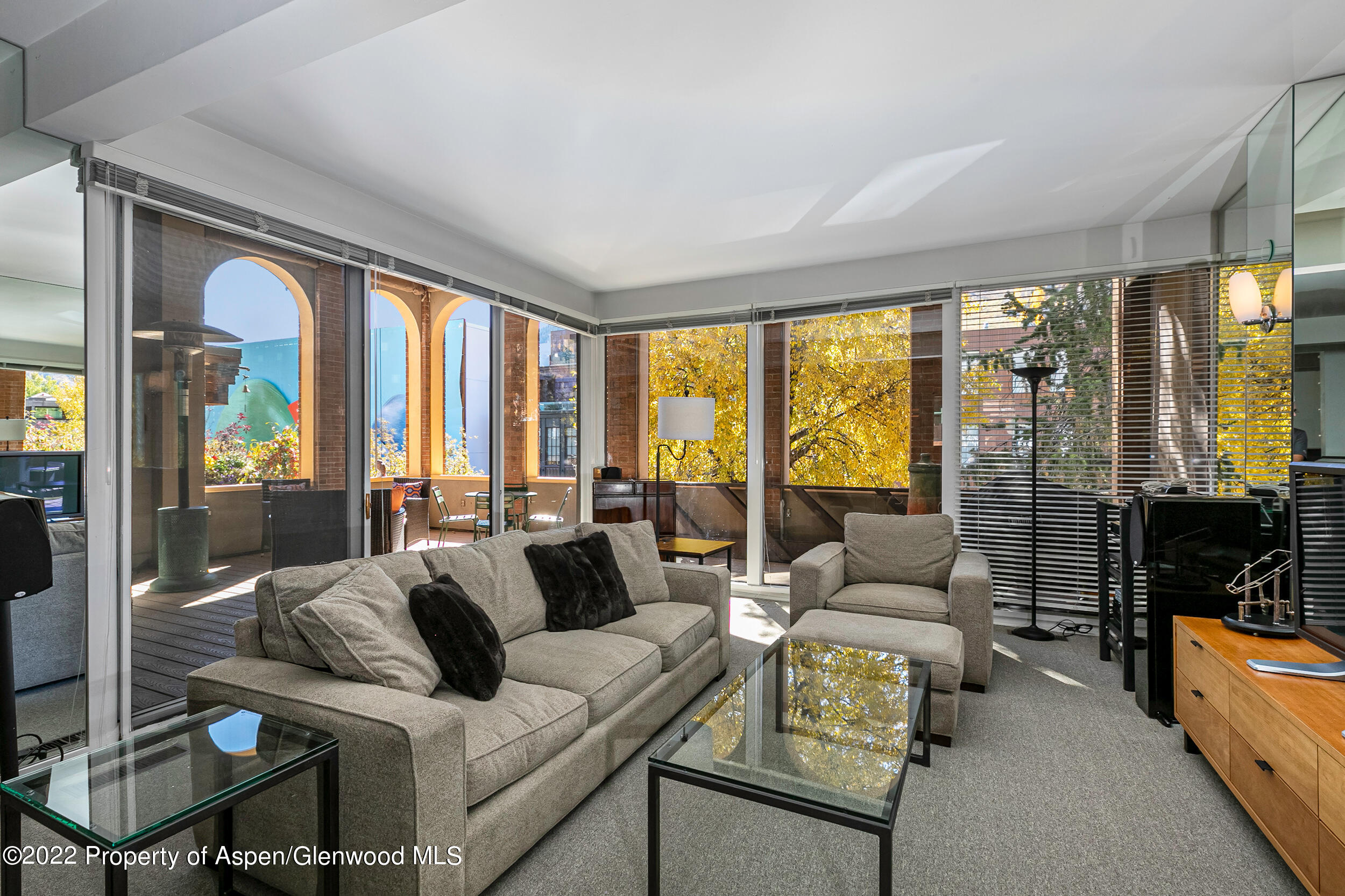 610 E Hyman Avenue Aspen CO 81611