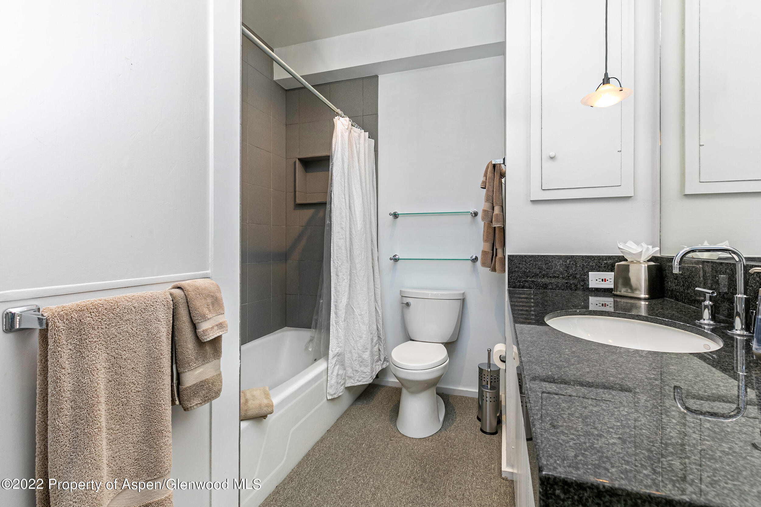 610 E Hyman Avenue Aspen CO 81611