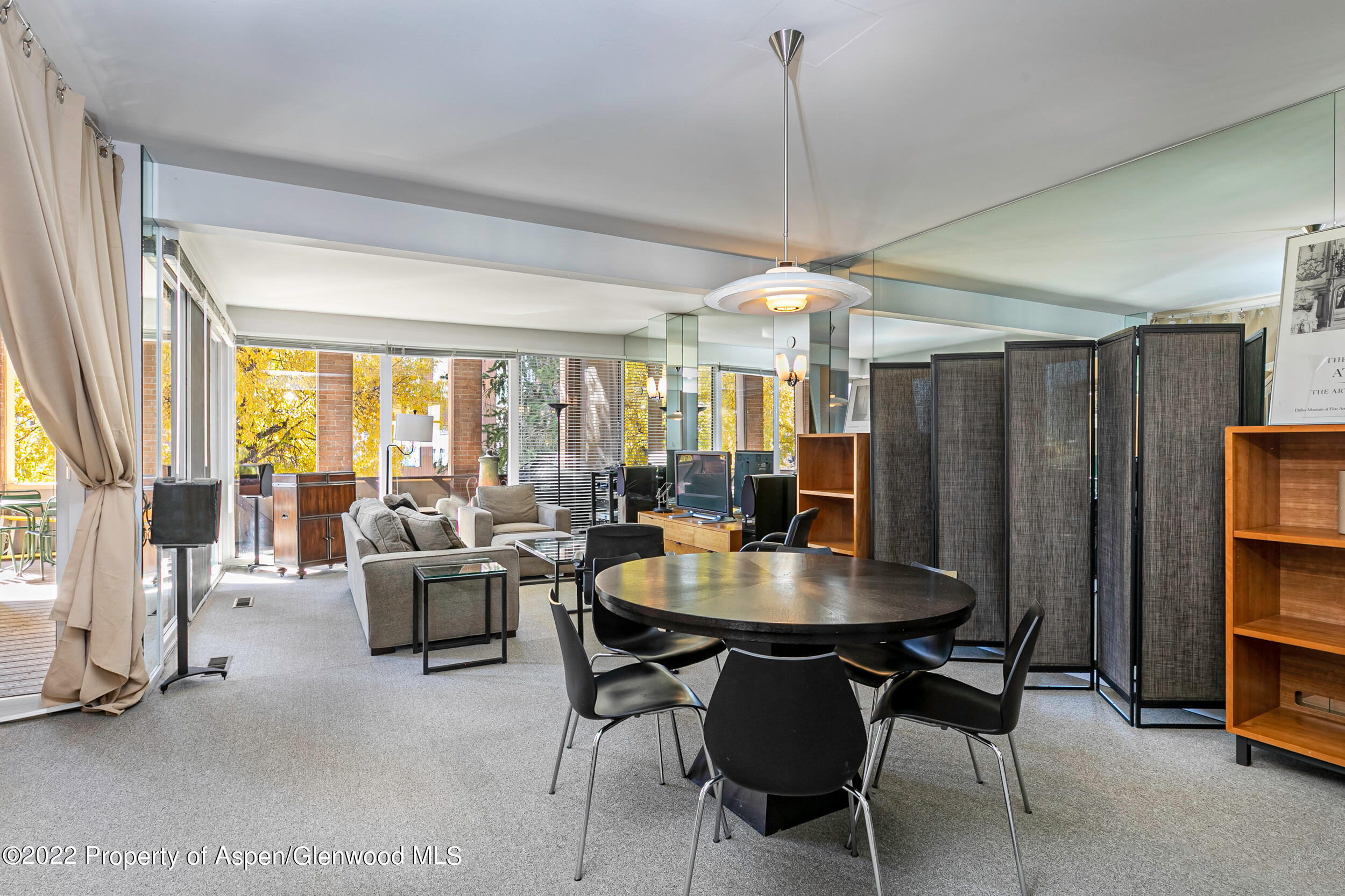 610 E Hyman Avenue Aspen CO 81611