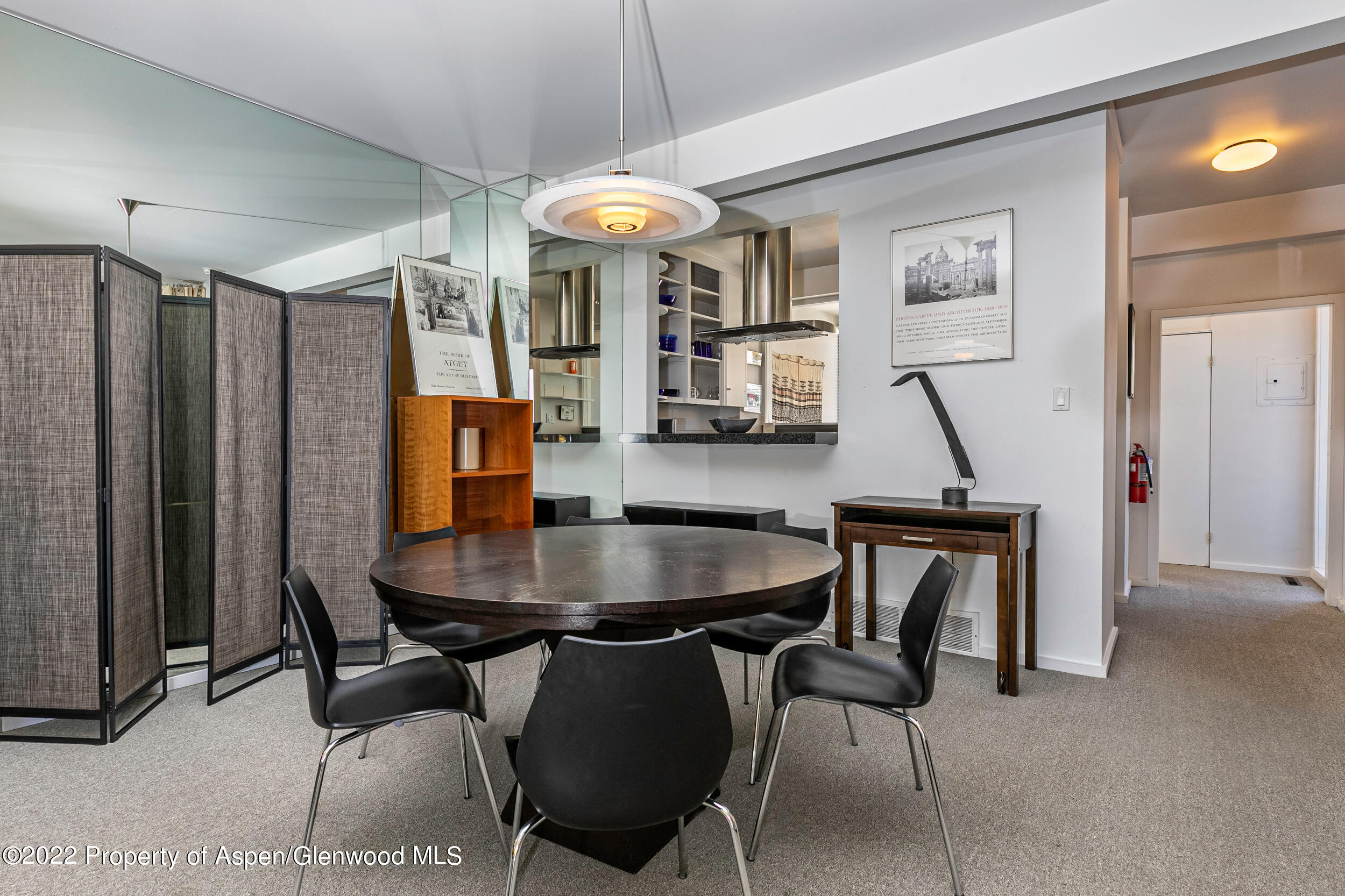 610 E Hyman Avenue Aspen CO 81611