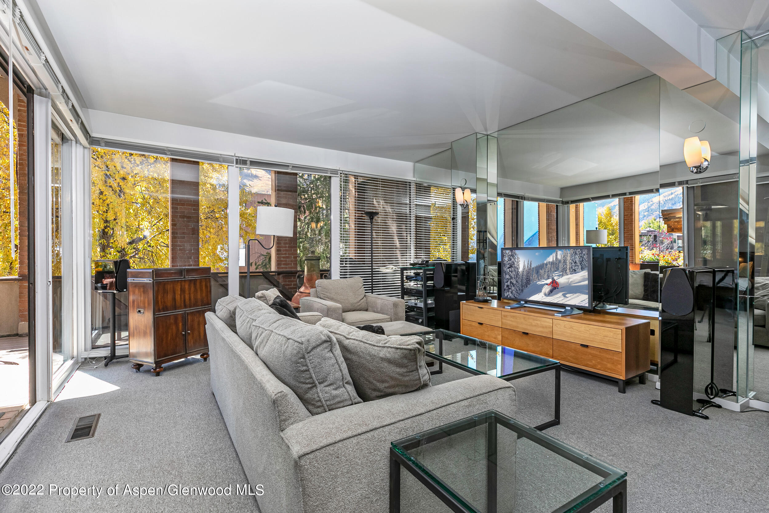 610 E Hyman Avenue Aspen CO 81611