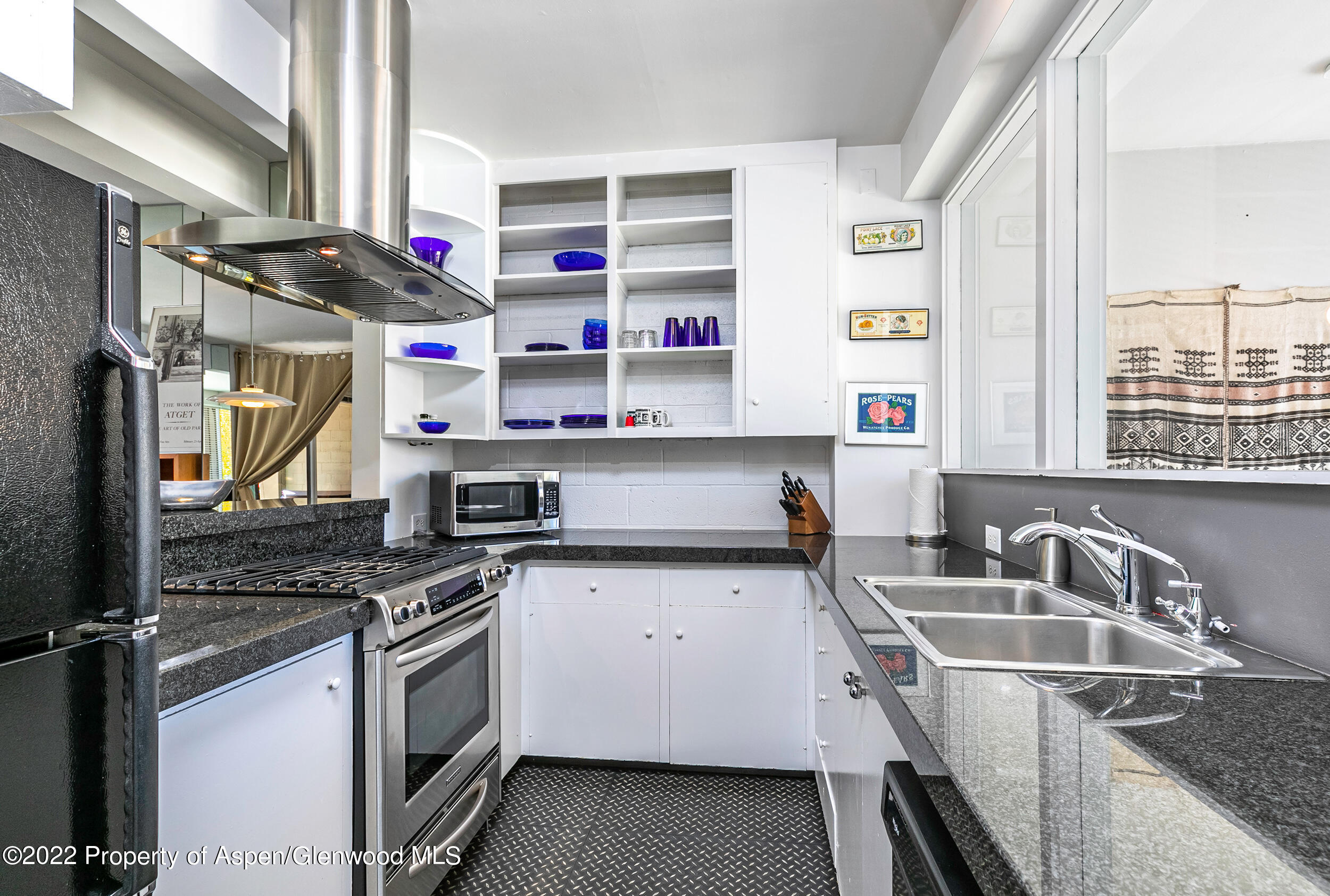 610 E Hyman Avenue Aspen CO 81611