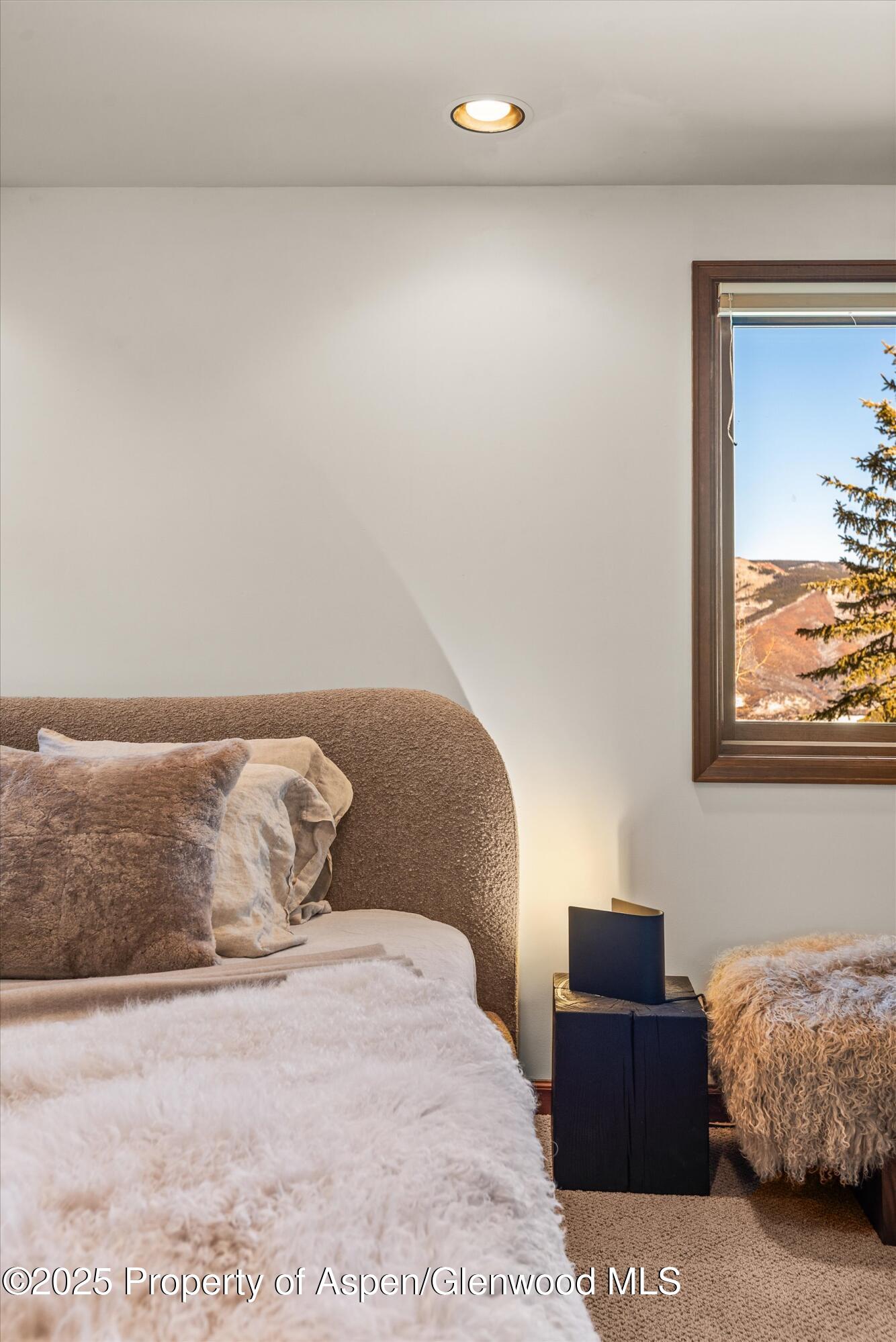 2227 Juniper Hill Drive Aspen CO 81611