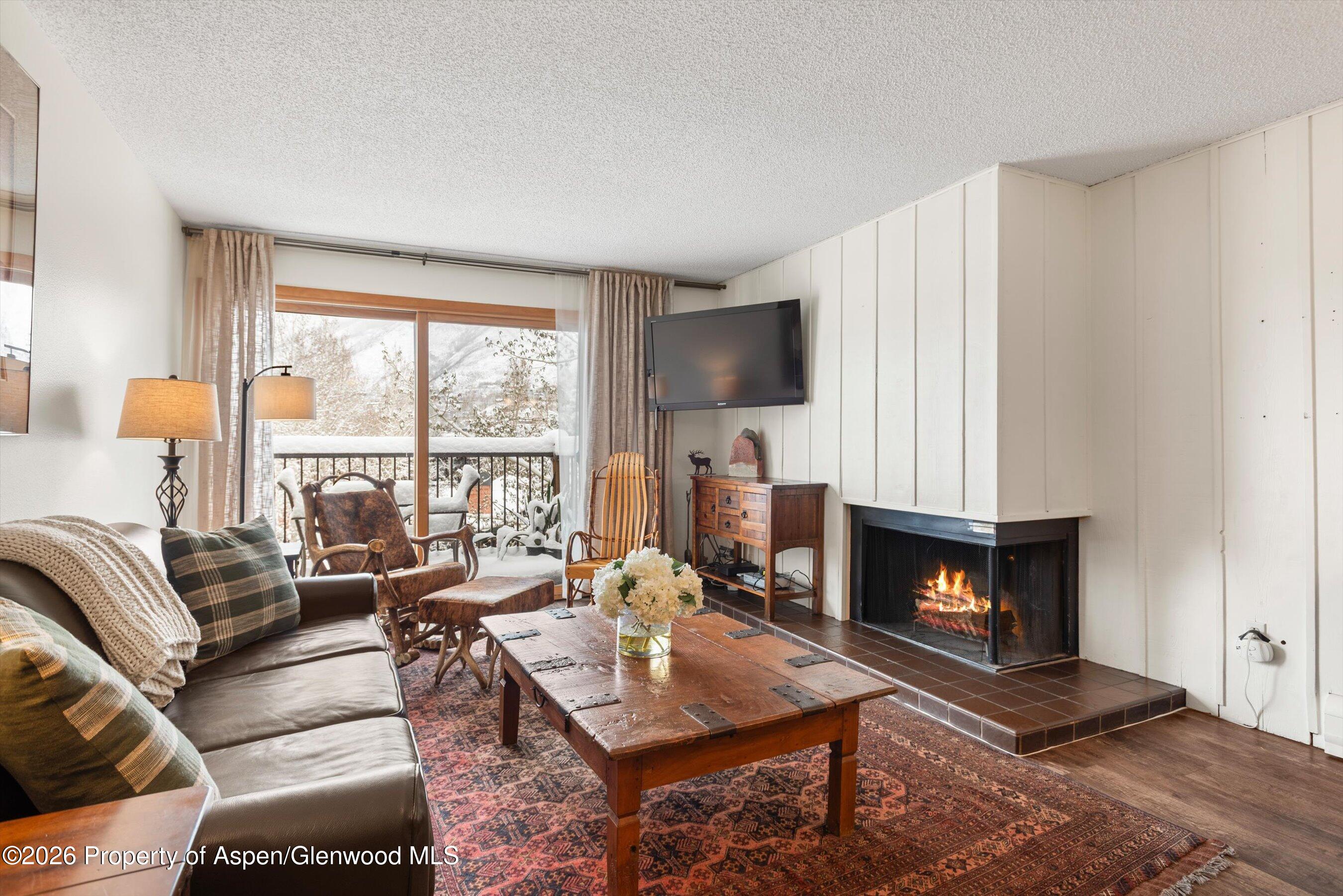 205 E Durant Avenue Aspen CO 81611