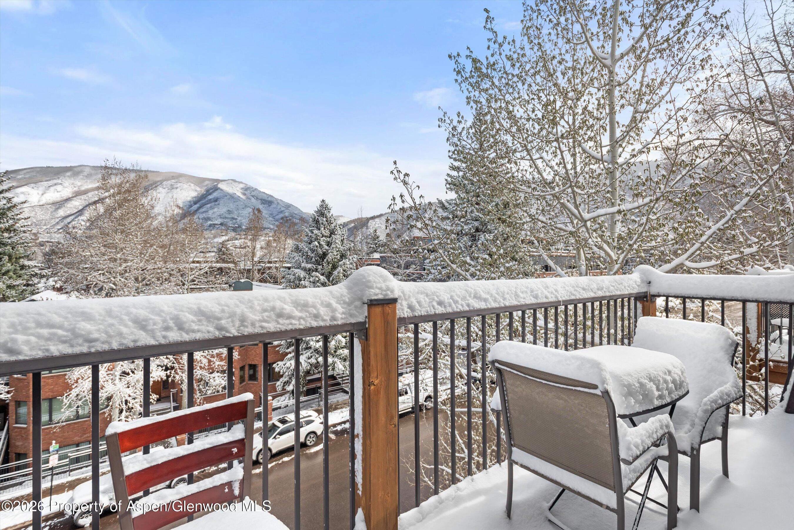 205 E Durant Avenue Aspen CO 81611