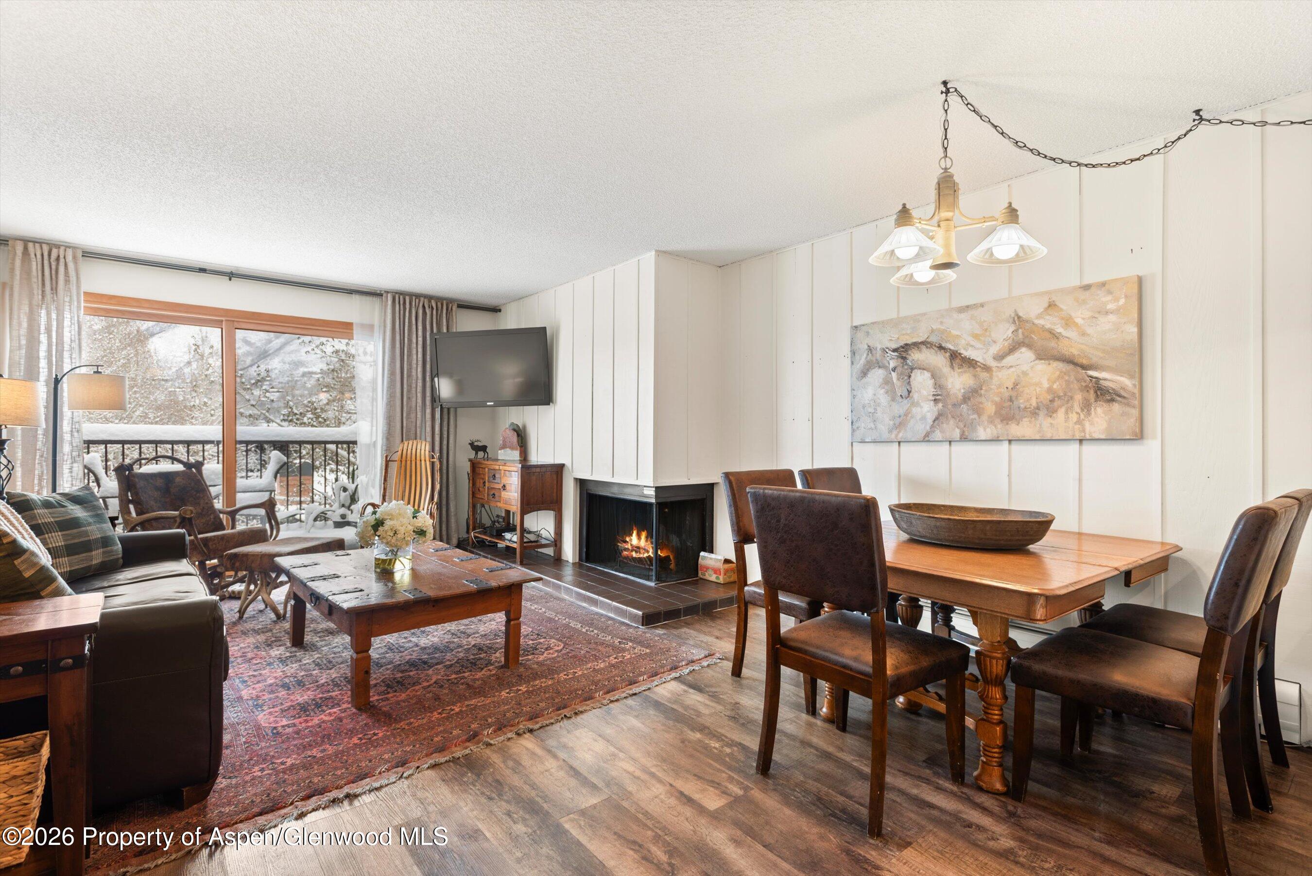 205 E Durant Avenue Aspen CO 81611