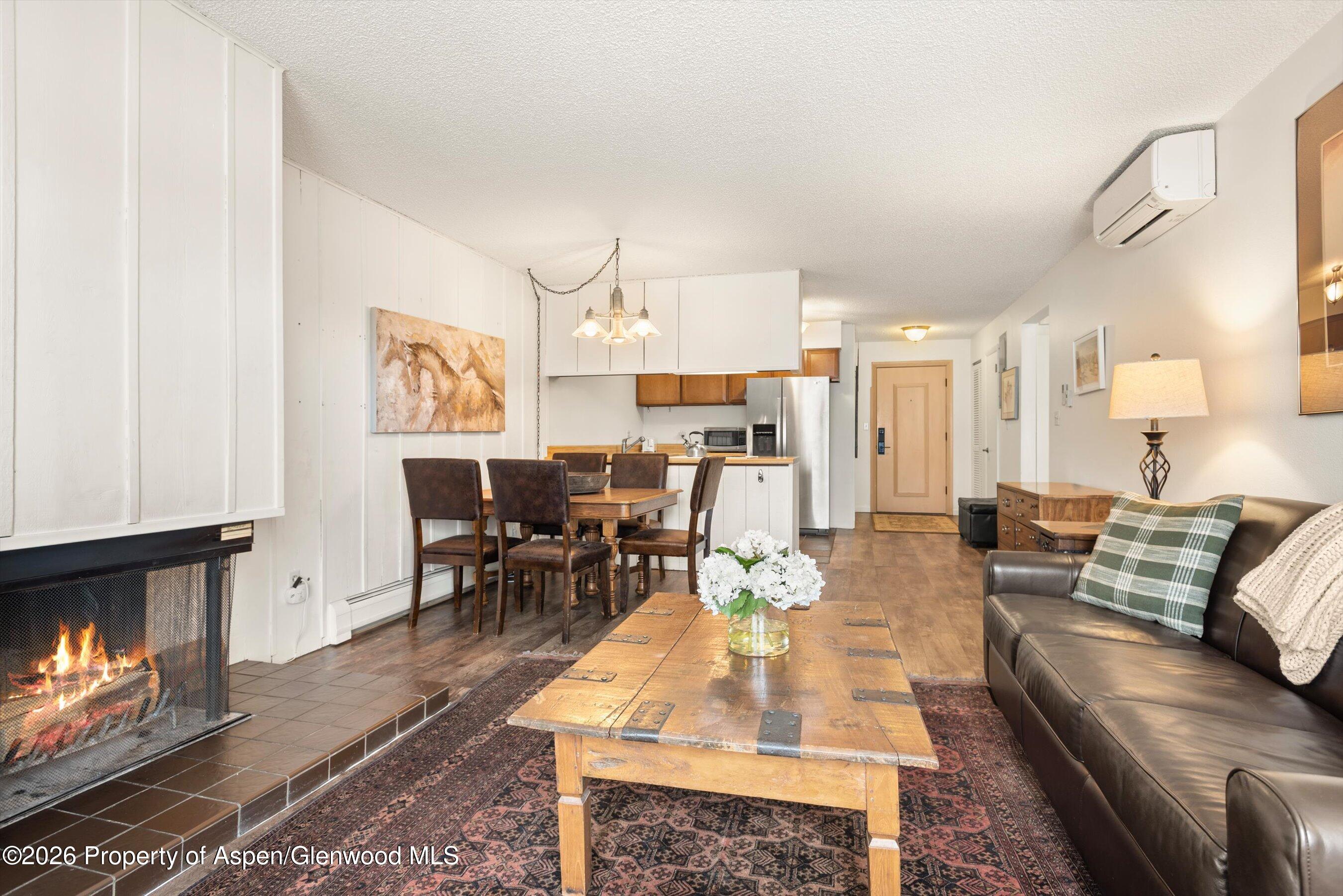 205 E Durant Avenue Aspen CO 81611