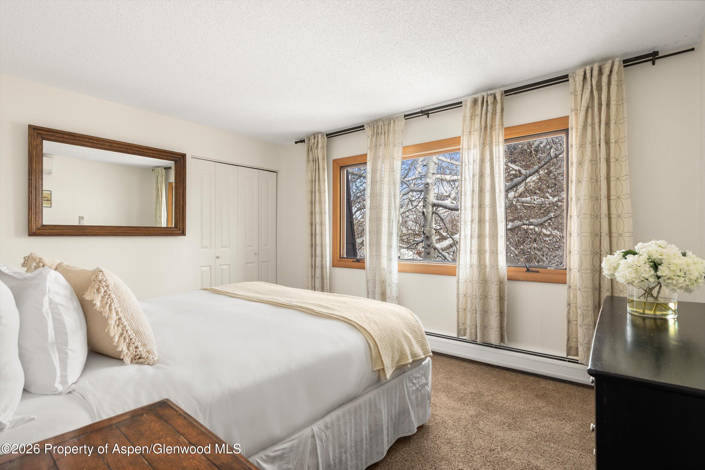 205 E Durant Avenue Aspen CO 81611