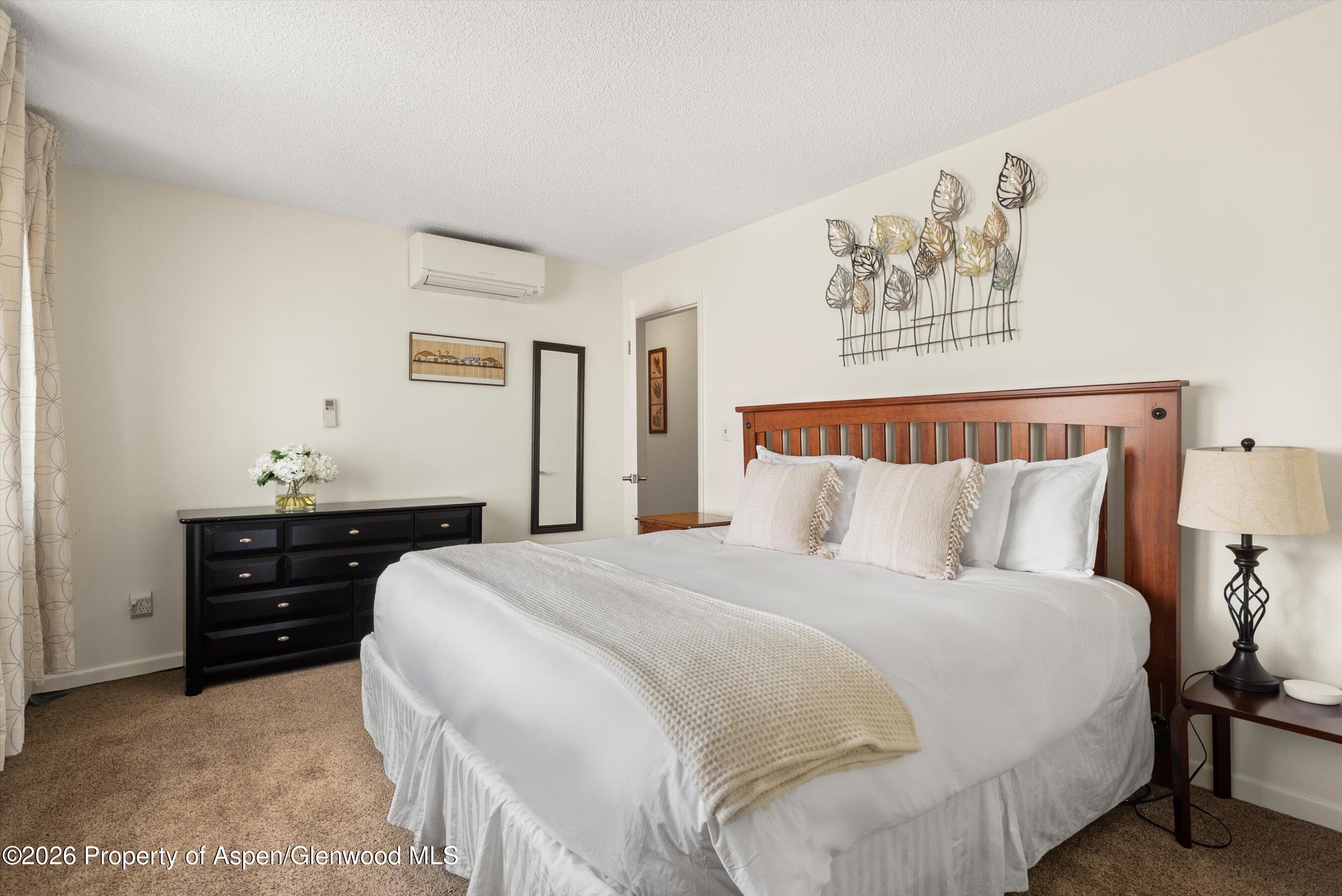 205 E Durant Avenue Aspen CO 81611