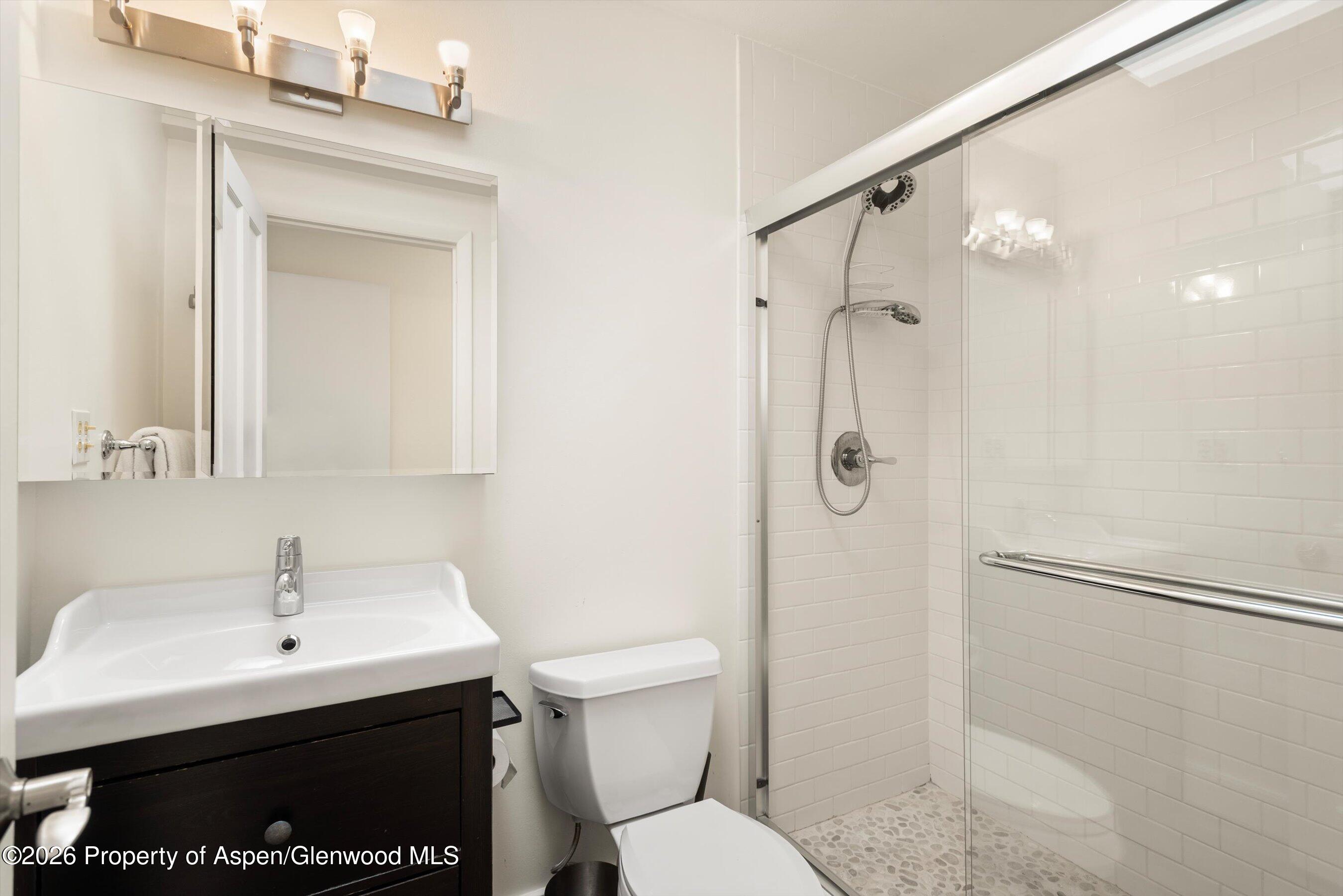 205 E Durant Avenue Aspen CO 81611