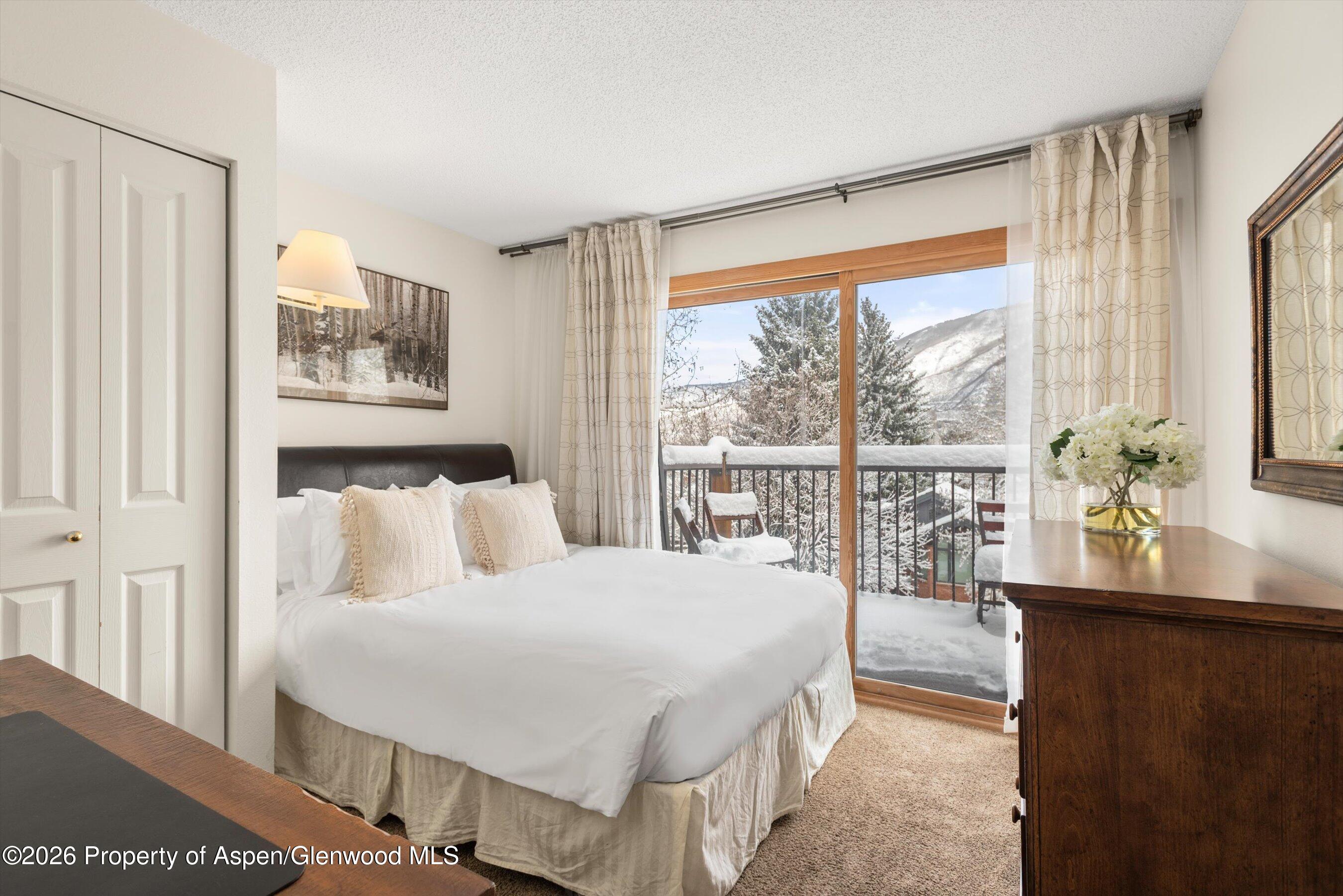 205 E Durant Avenue Aspen CO 81611