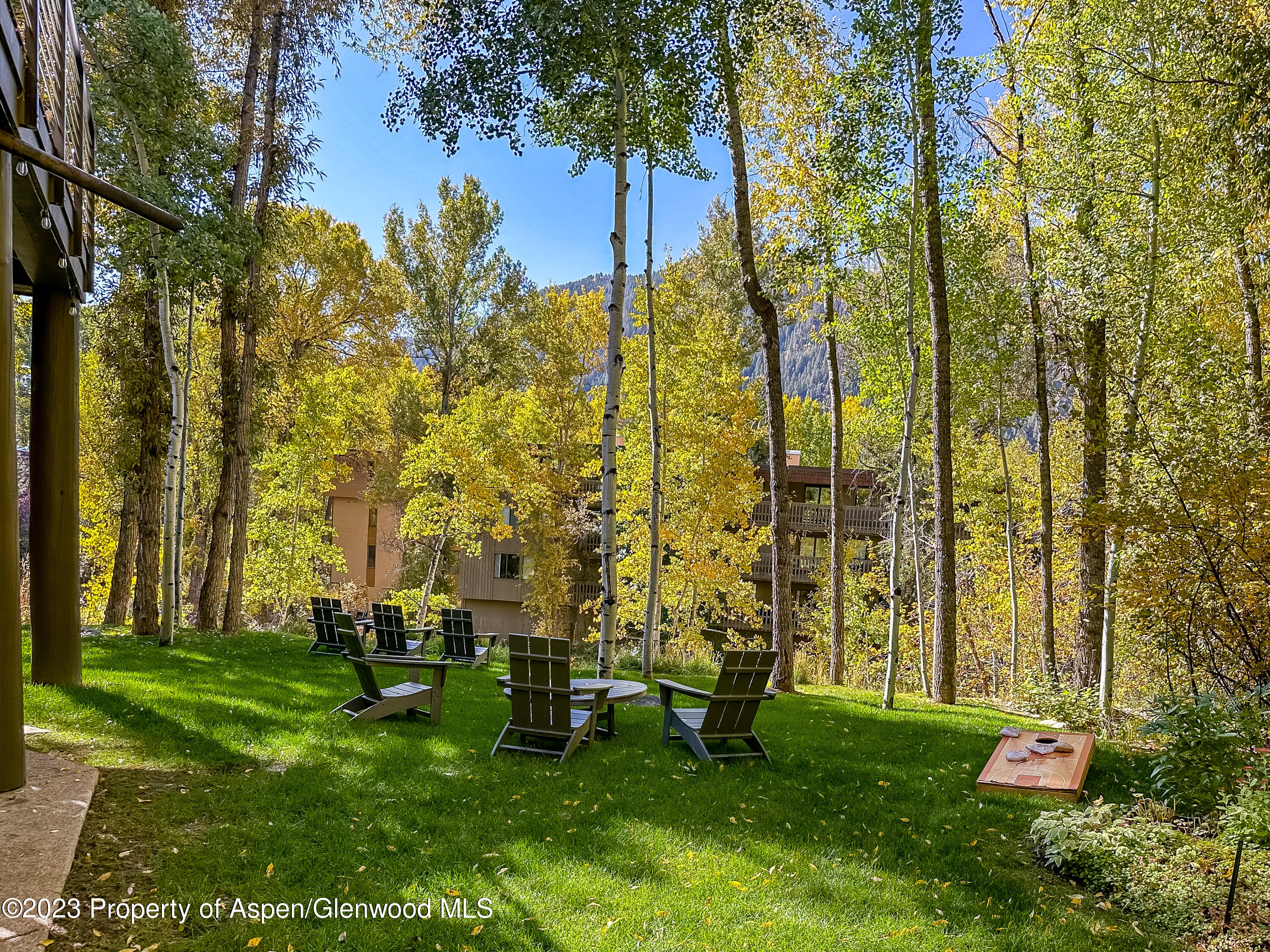 345 Park Avenue Aspen CO 81611