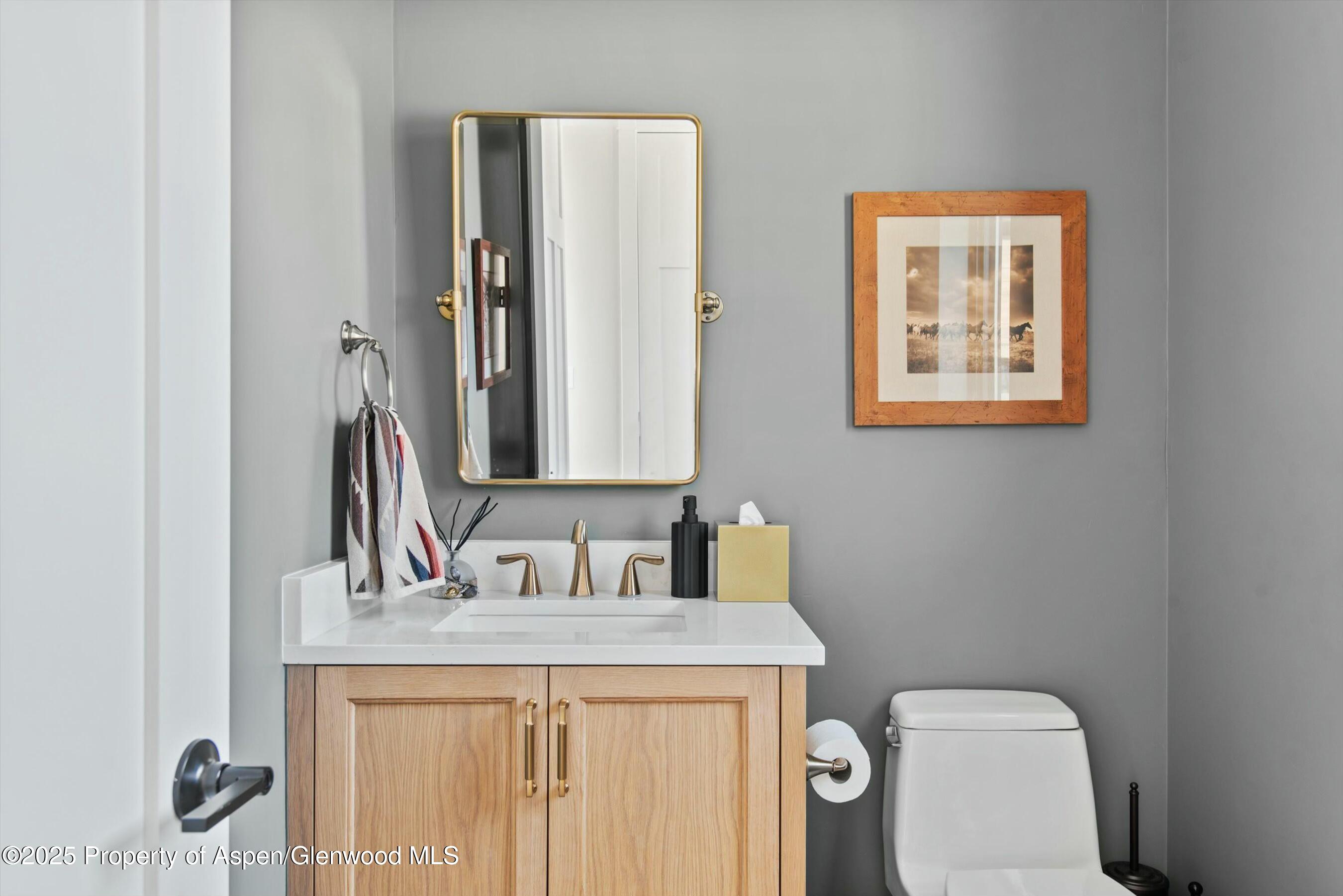 110 Bowles Drive Carbondale CO 81623