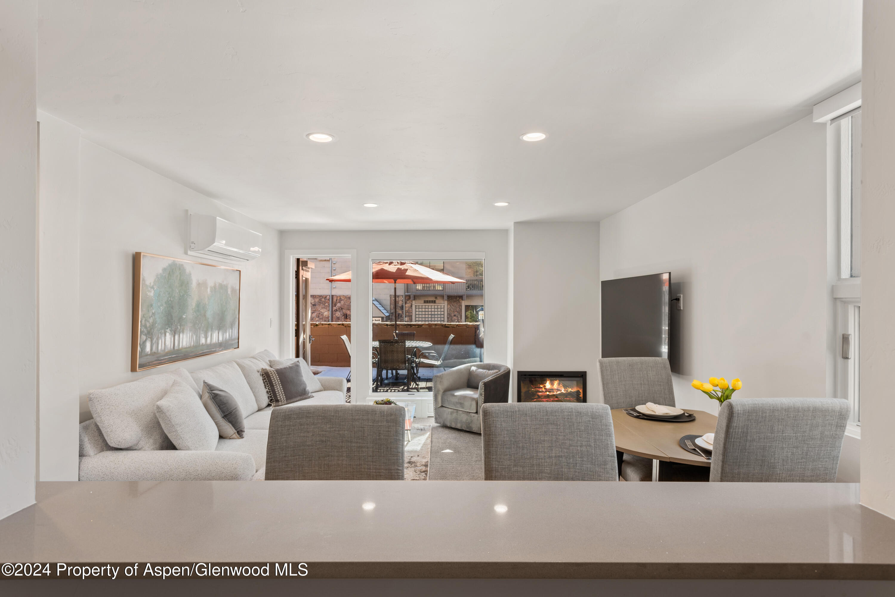 605 E Main Street Aspen CO 81611