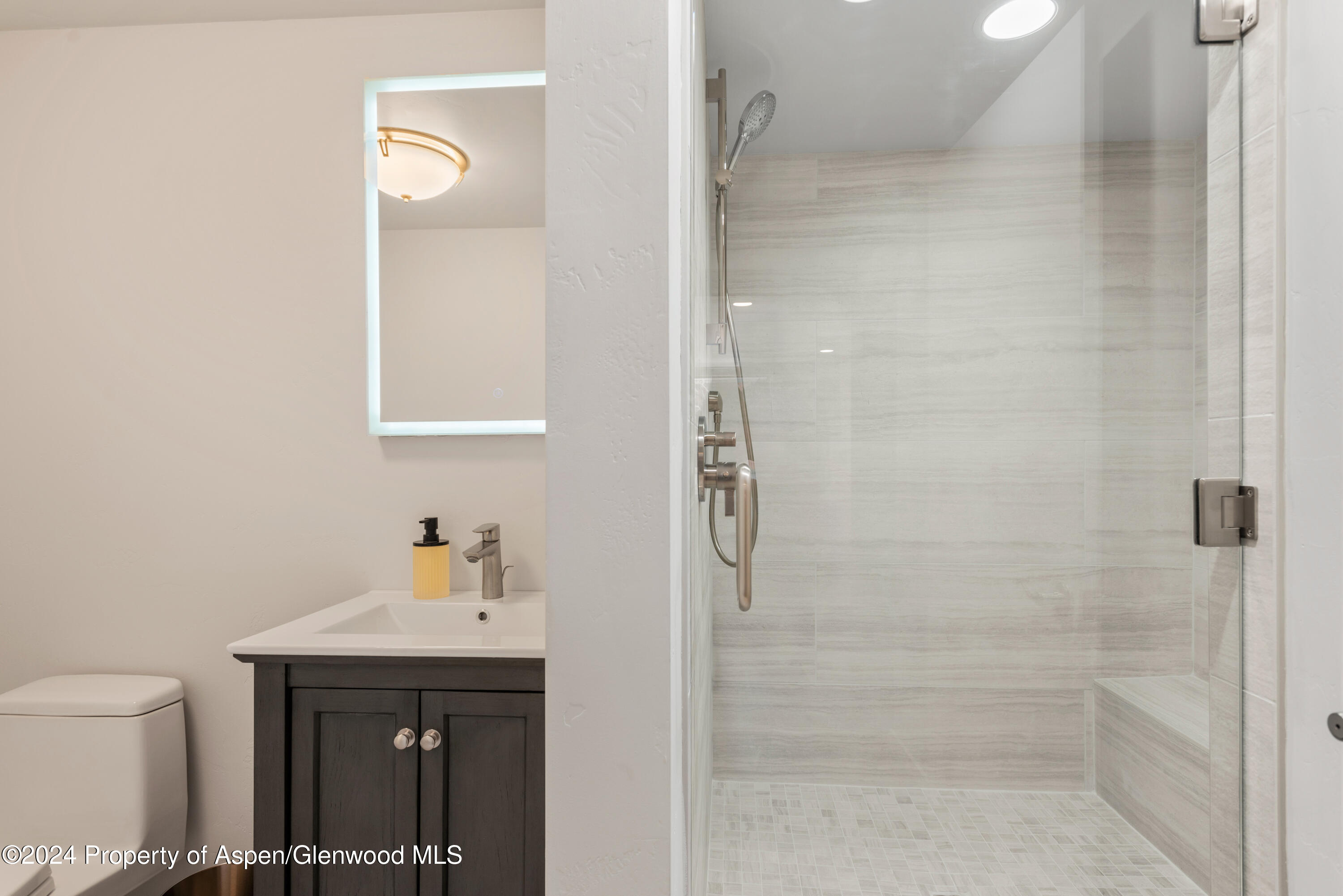 605 E Main Street Aspen CO 81611