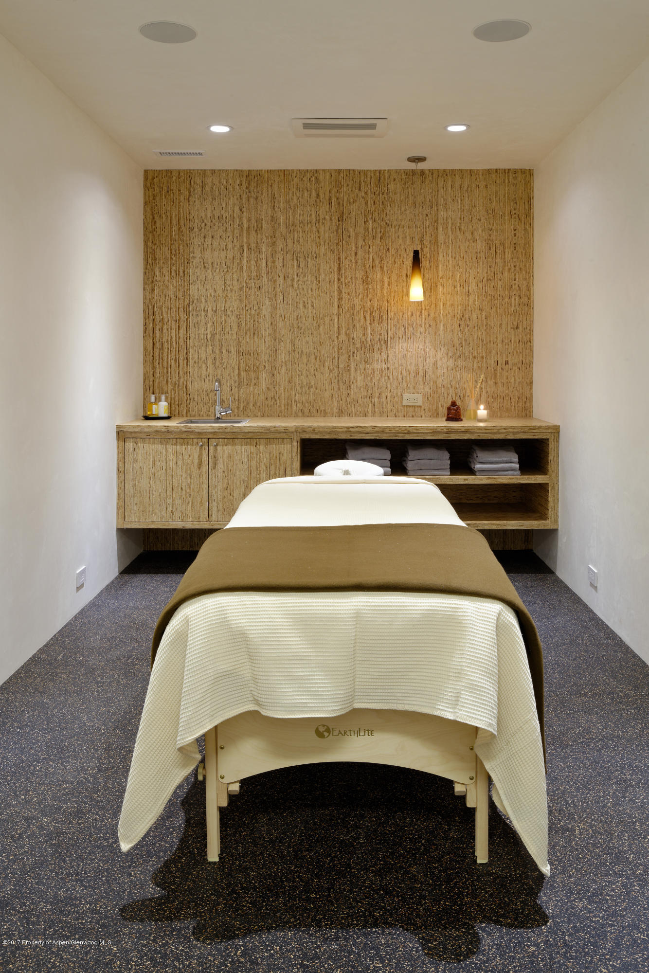 991 Moore Drive Aspen CO 81611