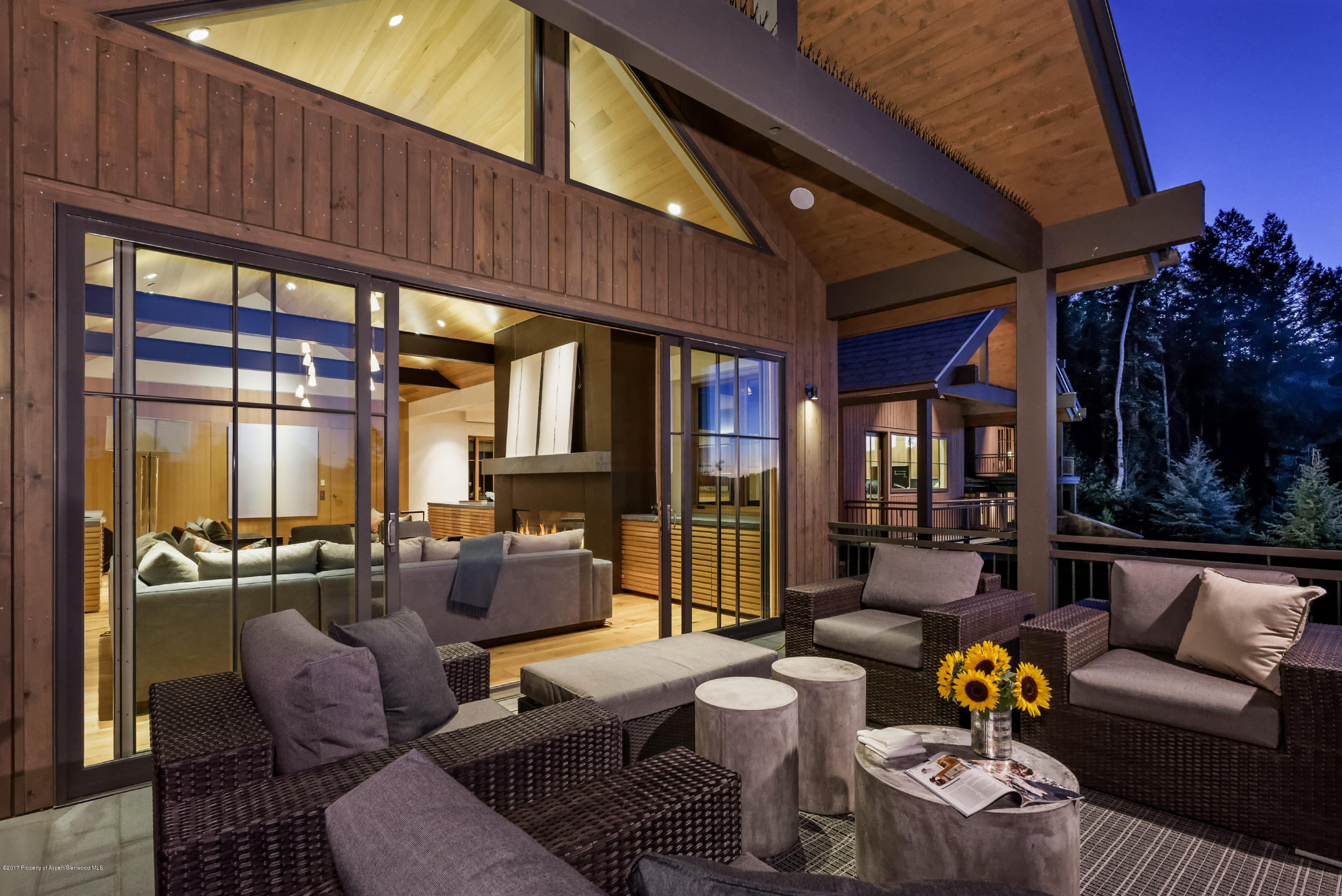 991 Moore Drive Aspen CO 81611