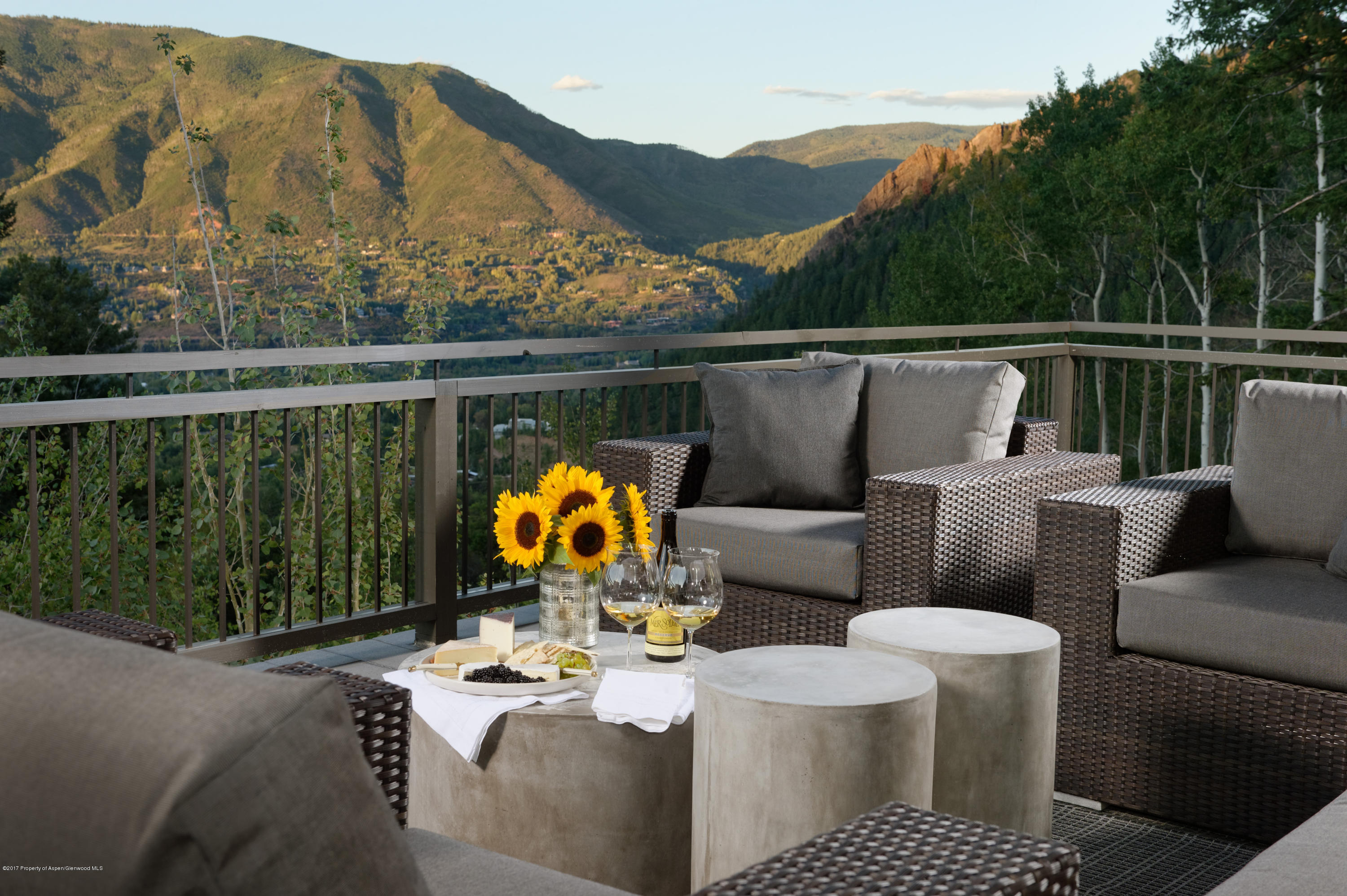 991 Moore Drive Aspen CO 81611