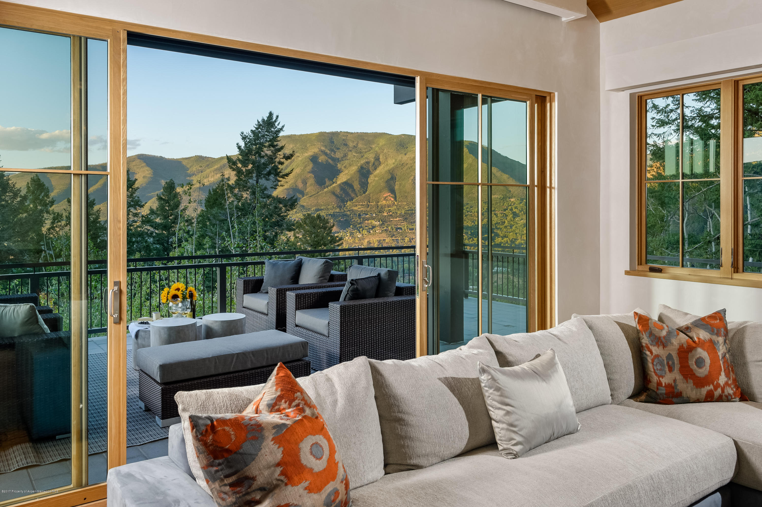 991 Moore Drive Aspen CO 81611