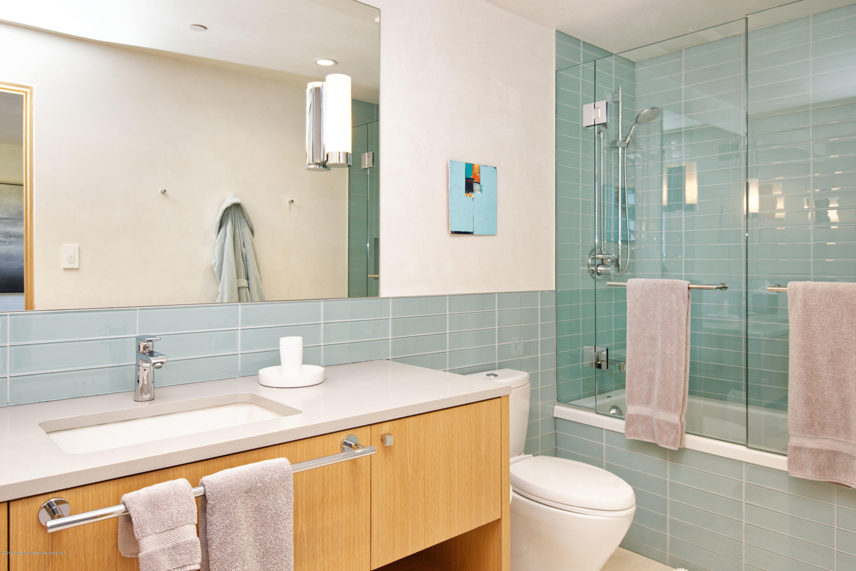 991 Moore Drive Aspen CO 81611