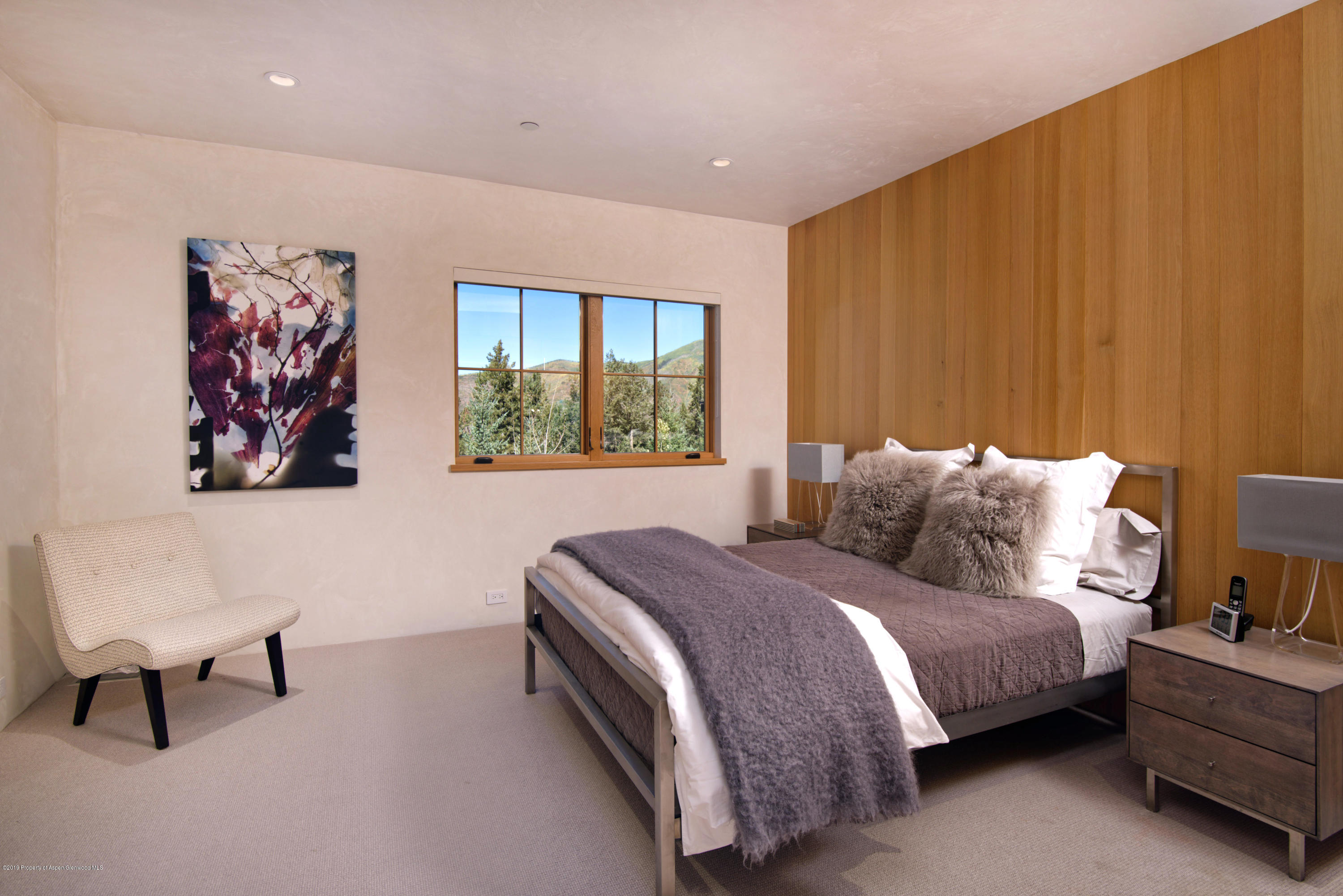 991 Moore Drive Aspen CO 81611