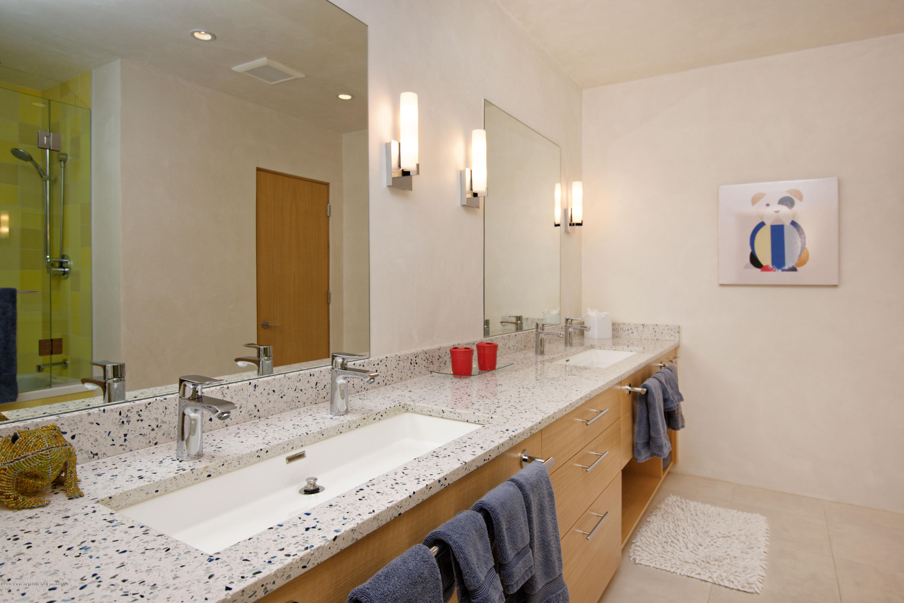 991 Moore Drive Aspen CO 81611