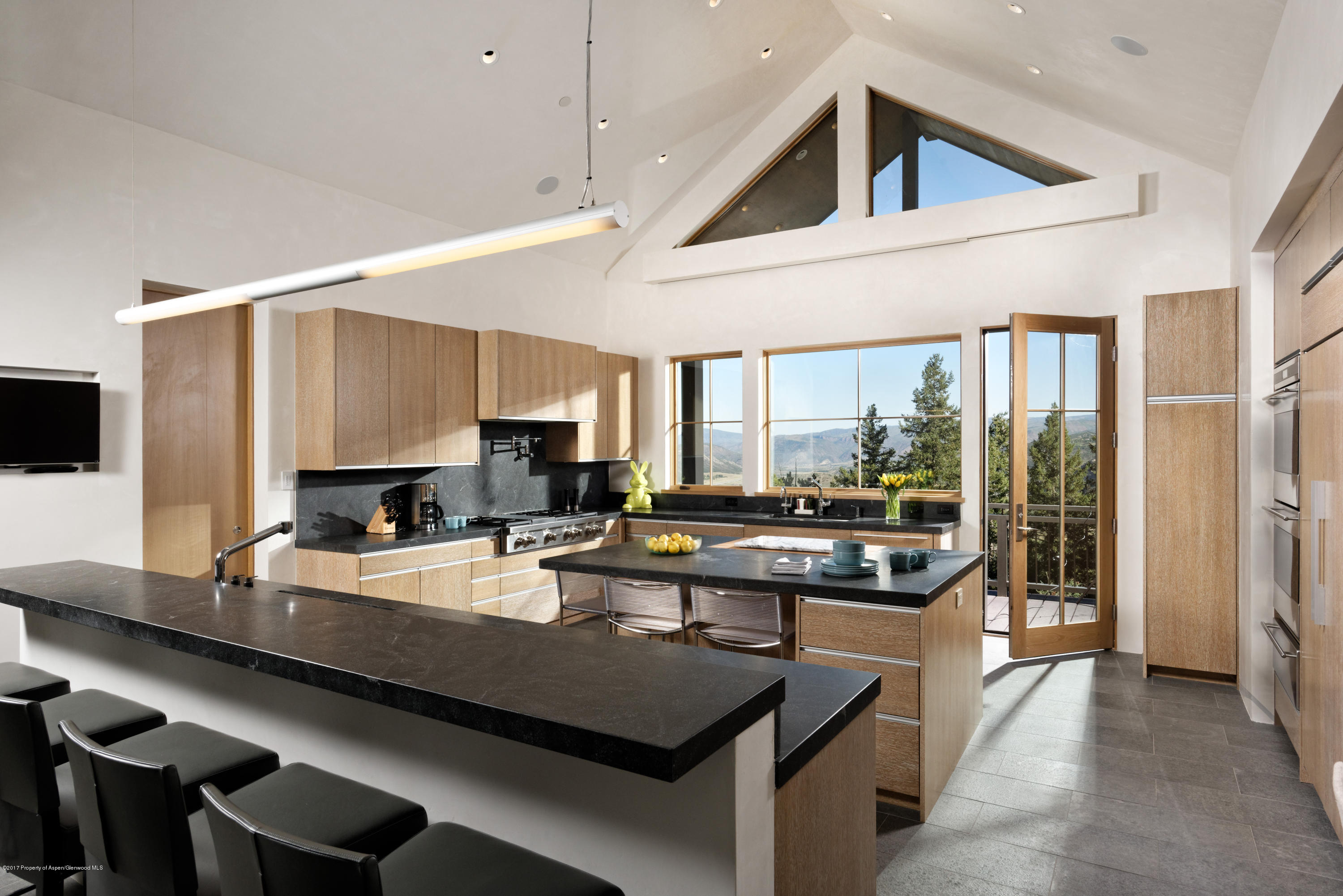 991 Moore Drive Aspen CO 81611