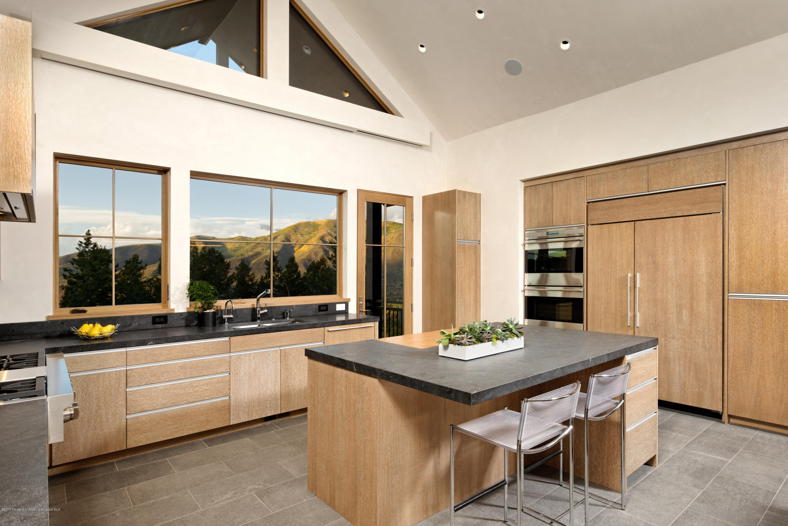 991 Moore Drive Aspen CO 81611